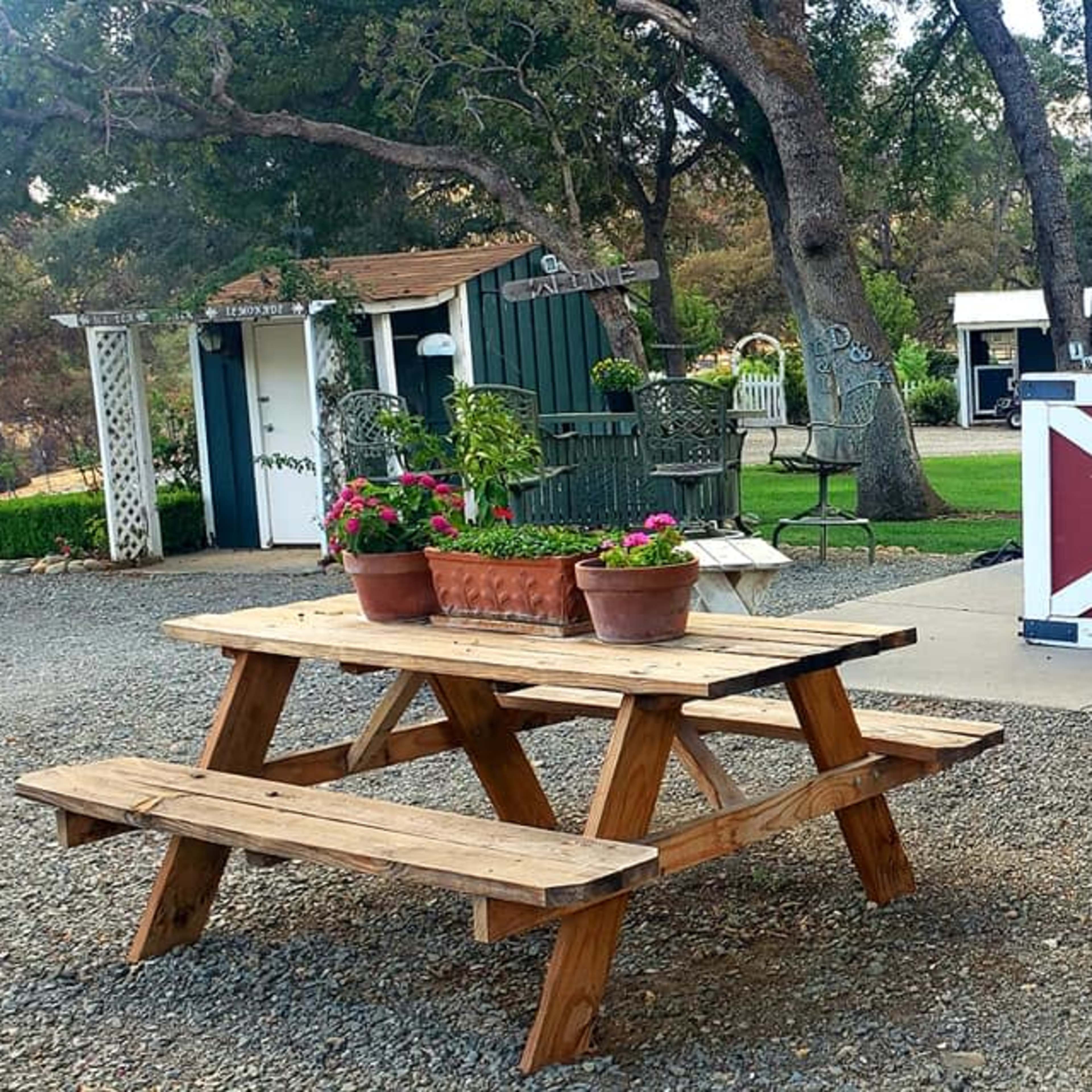 The scene features a rustic outdoor setting with a wooden picnic table surrounded by potted plants and a small structure resembling a barn in the background.
