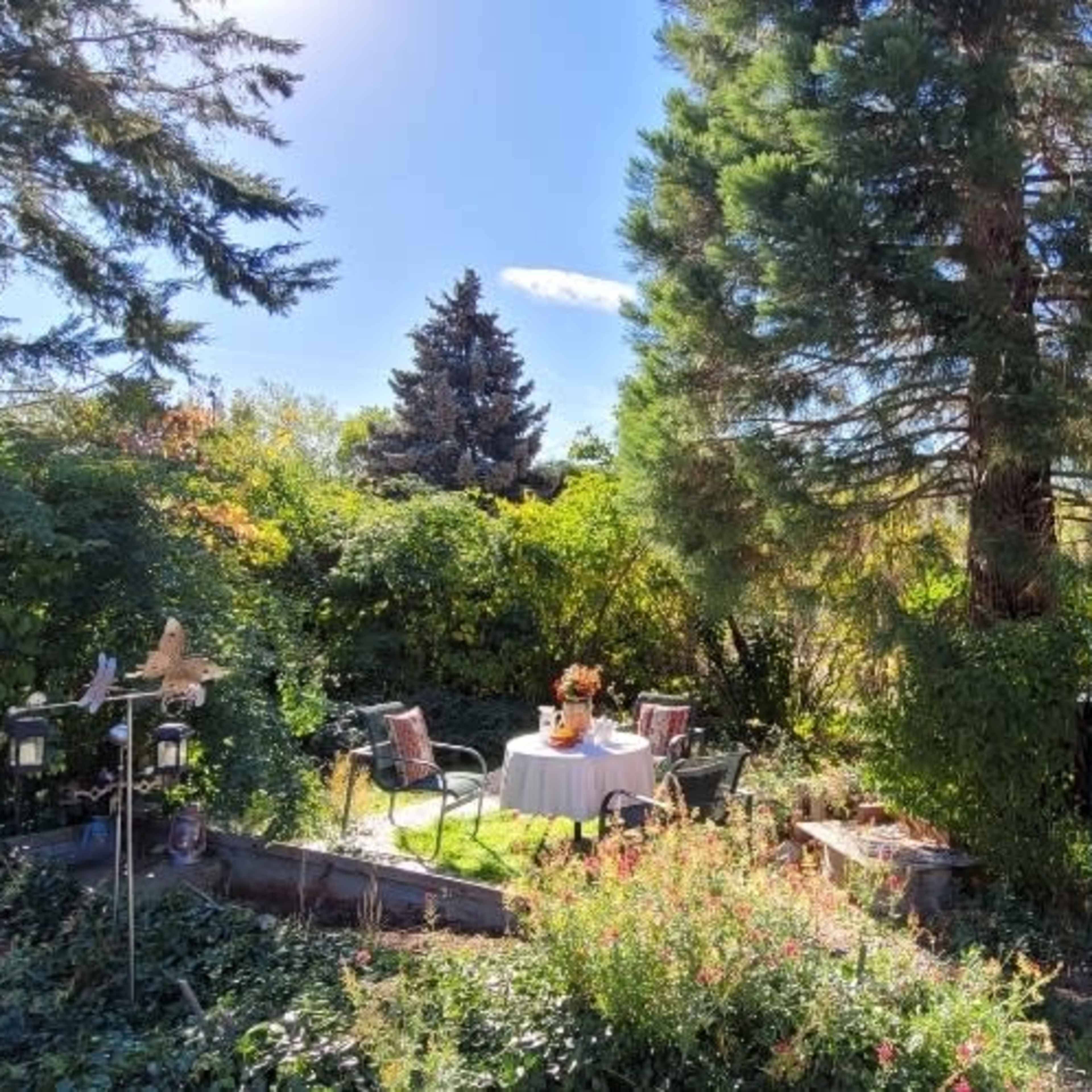 A sunlit garden features a table set for two, surrounded by lush greenery and various plants.