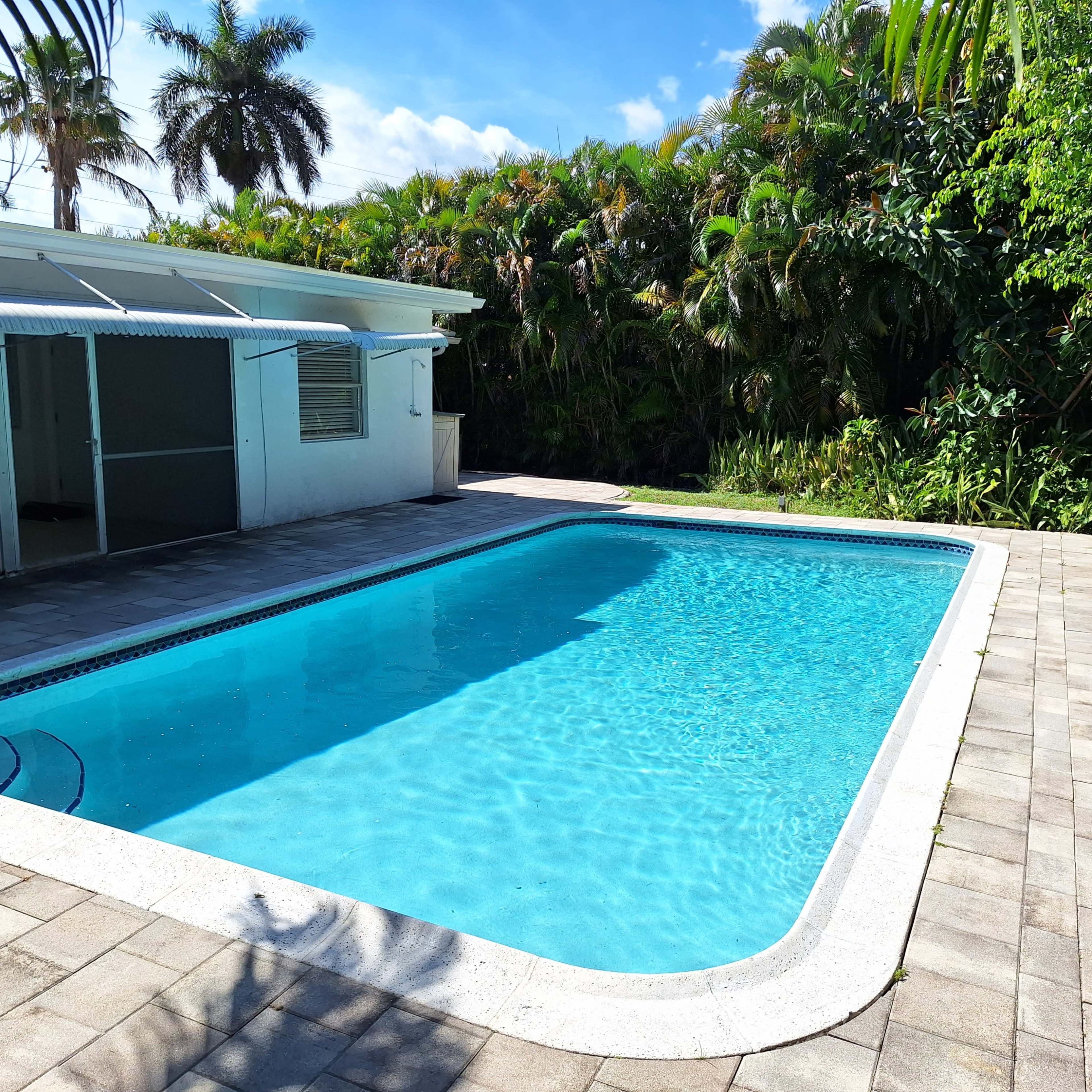 A clear swimming pool surrounded by a stone patio and lush green vegetation.