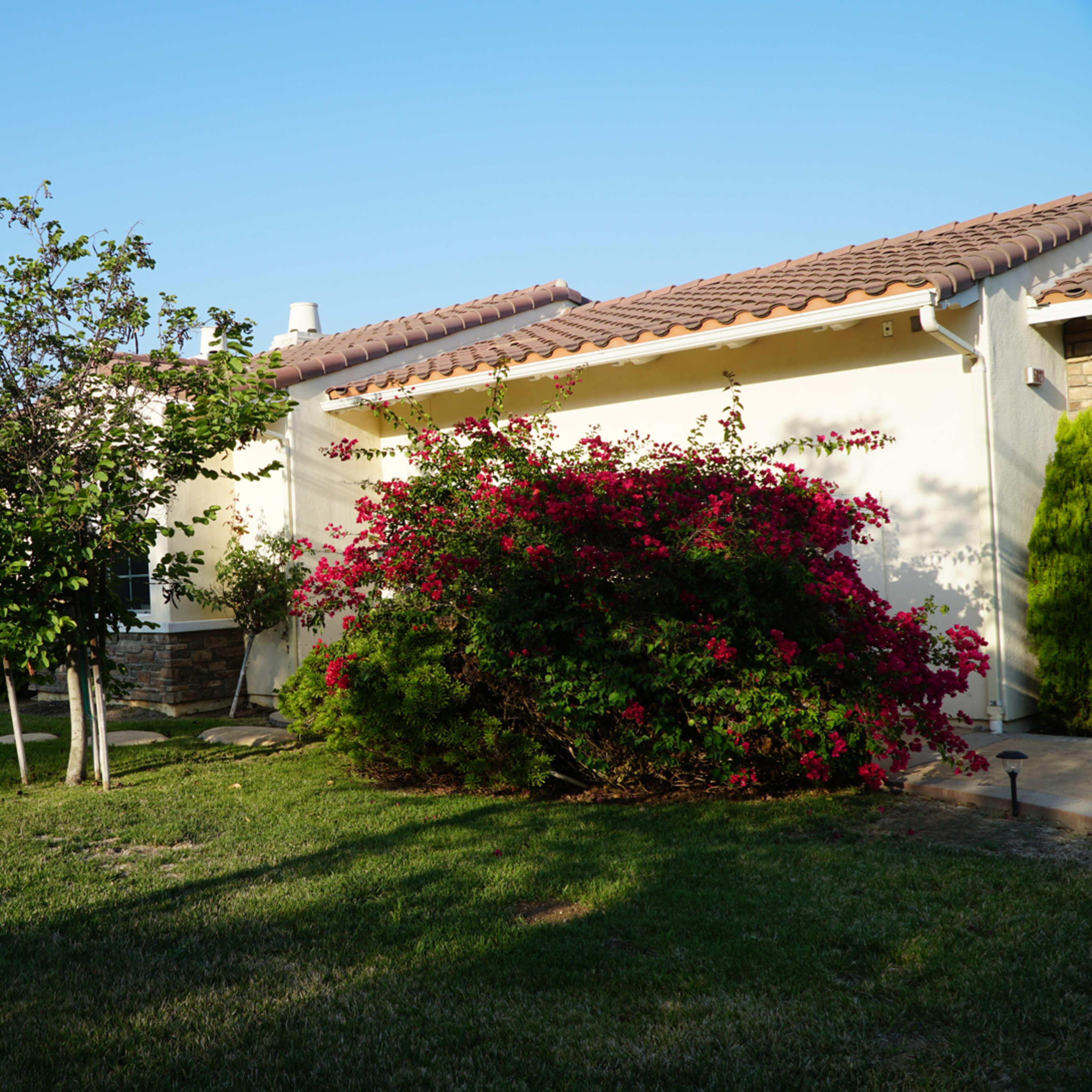A single-story house is surrounded by vibrant greenery and flowering bushes under a clear blue sky.