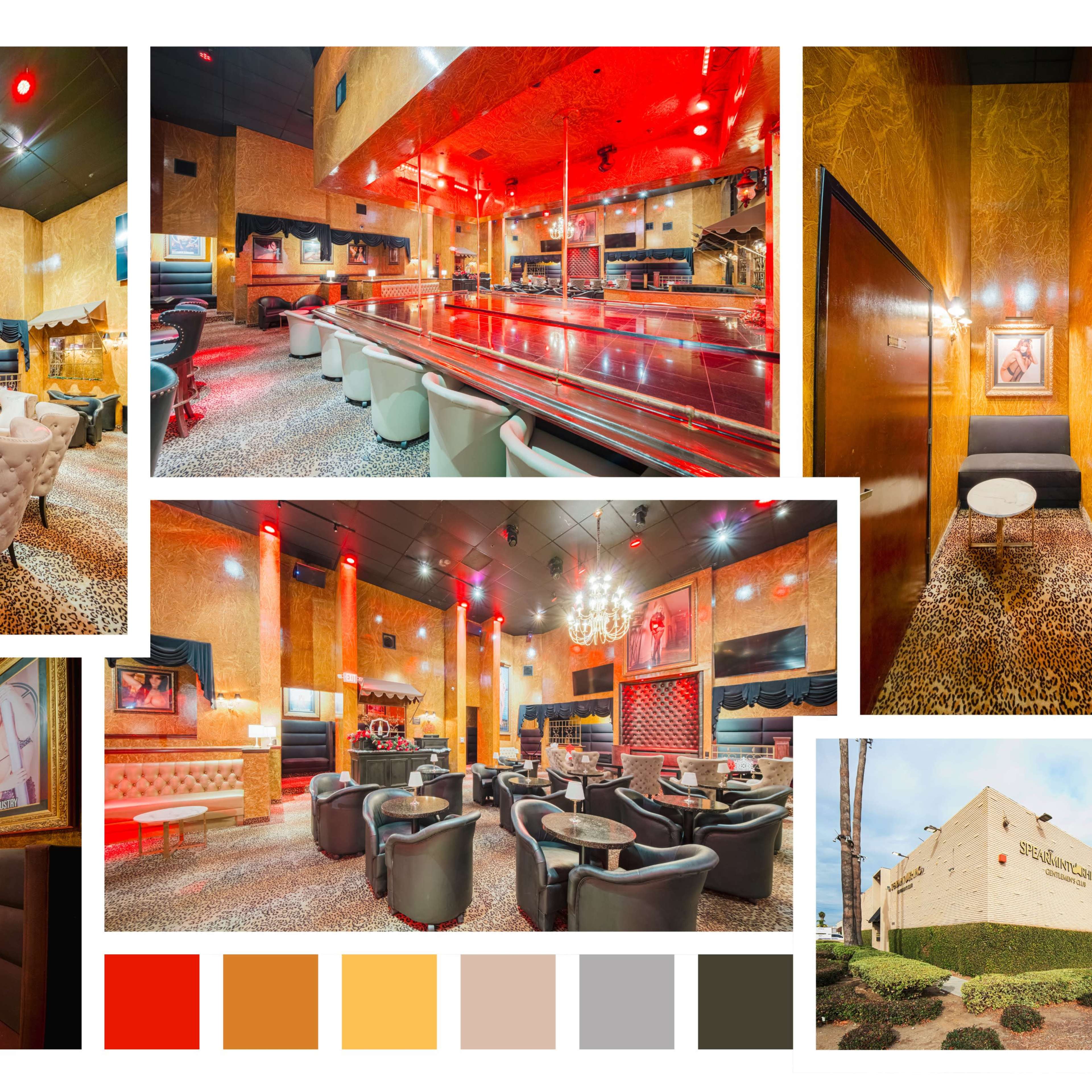 LEOPARD GOLDEN VELVET LOUNGE Image in Harbor Gateway South, Torrance, CA
