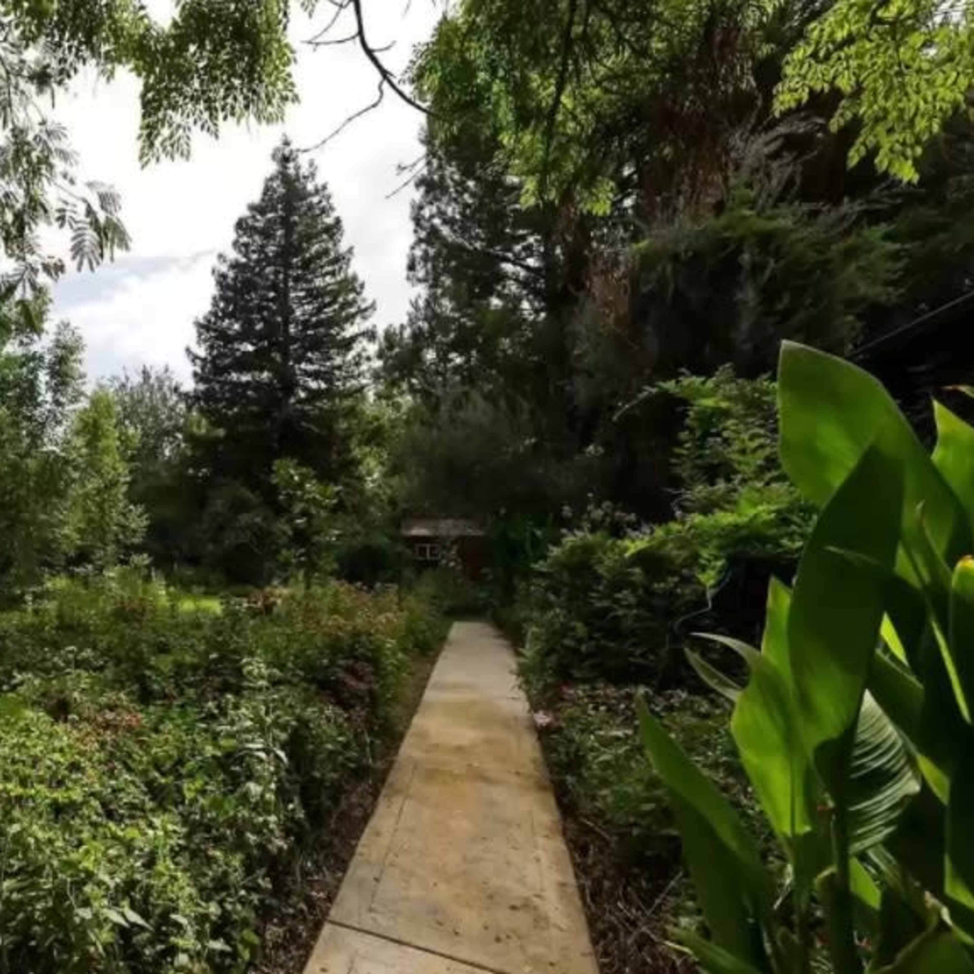 A stone pathway winds through a garden filled with greenery and blooming flowers.