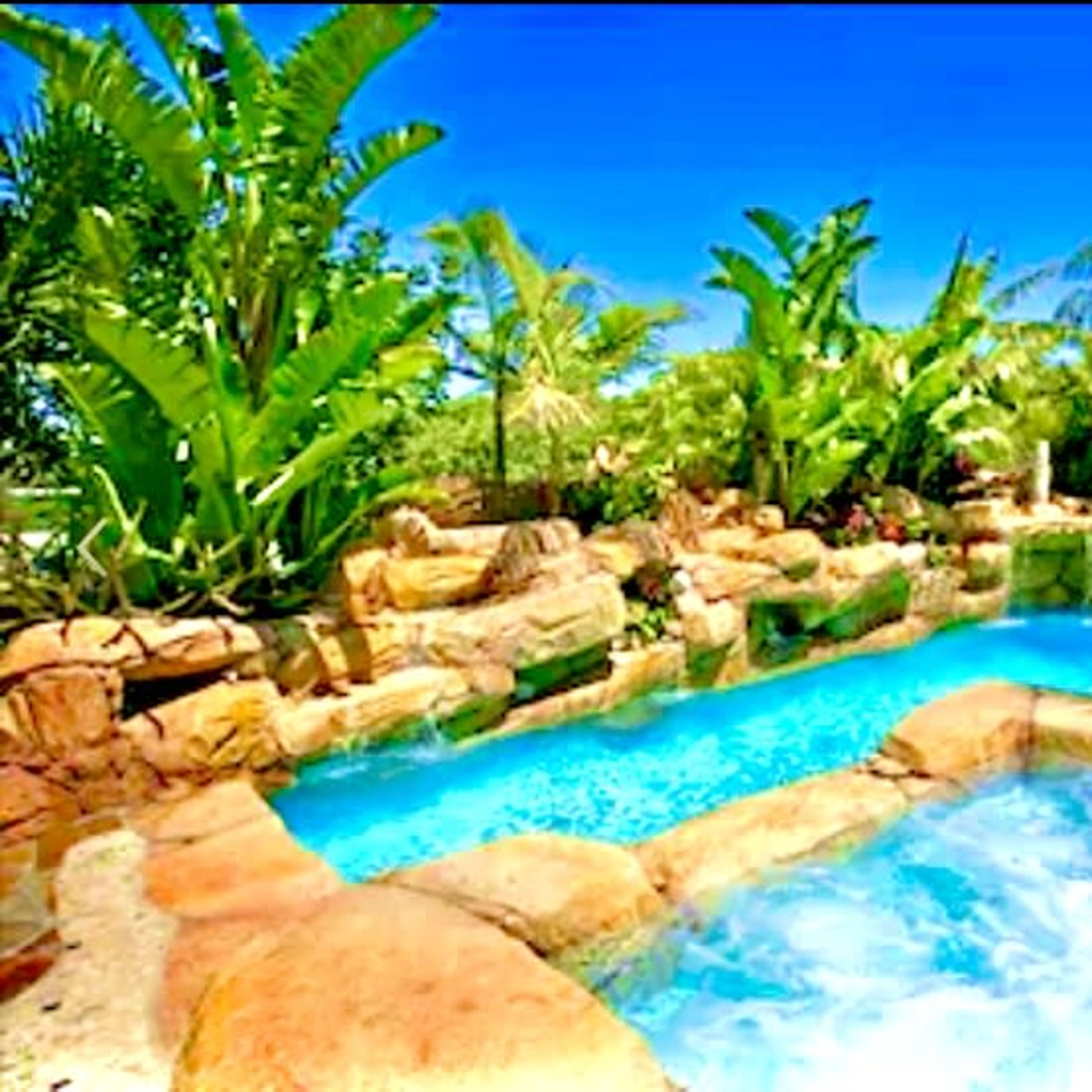 A landscaped pool area surrounded by tropical plants and rock formations.