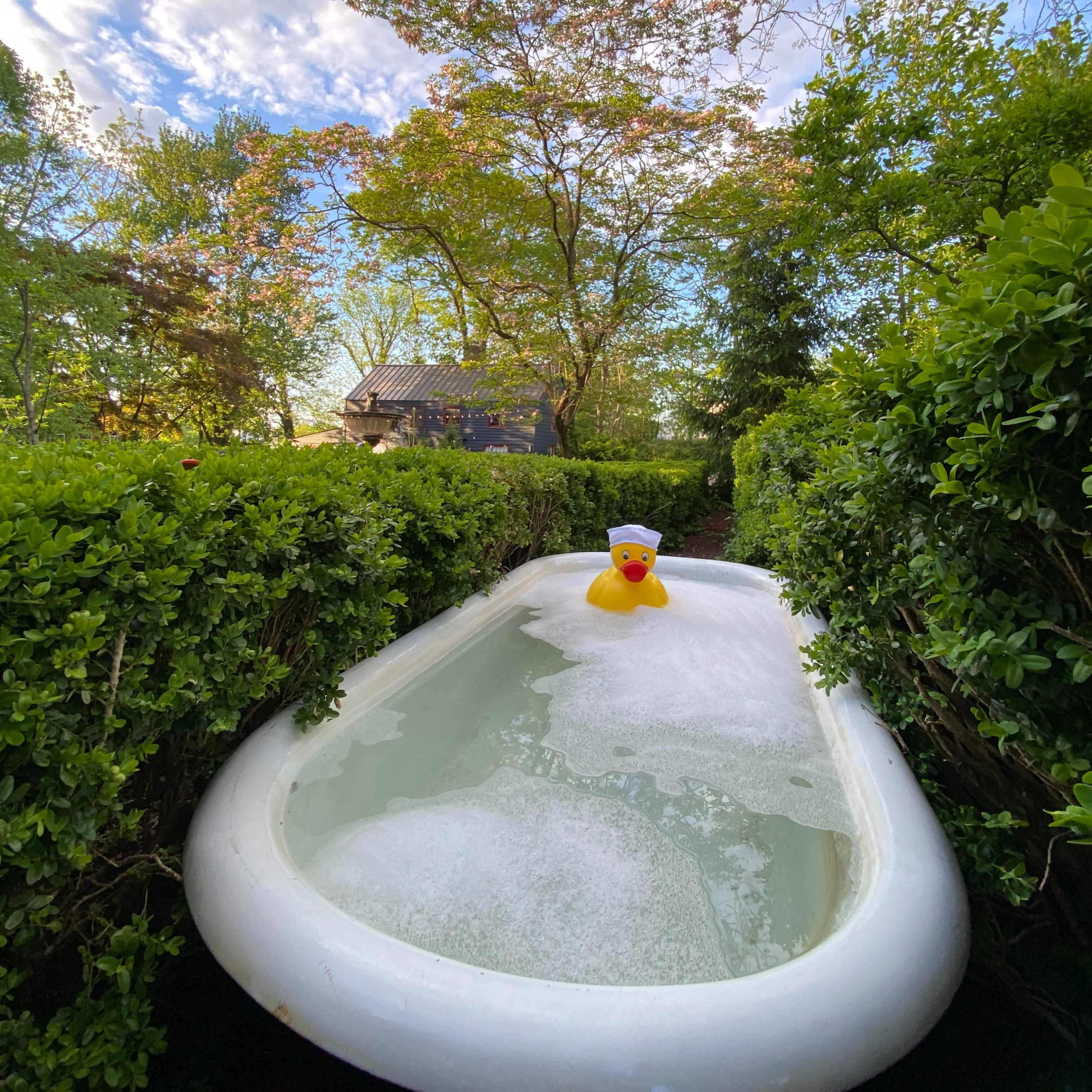 A vintage clawfoot bathtub filled with bubbles sits nestled between green hedges, with a rubber duck floating on the surface and trees in the background.