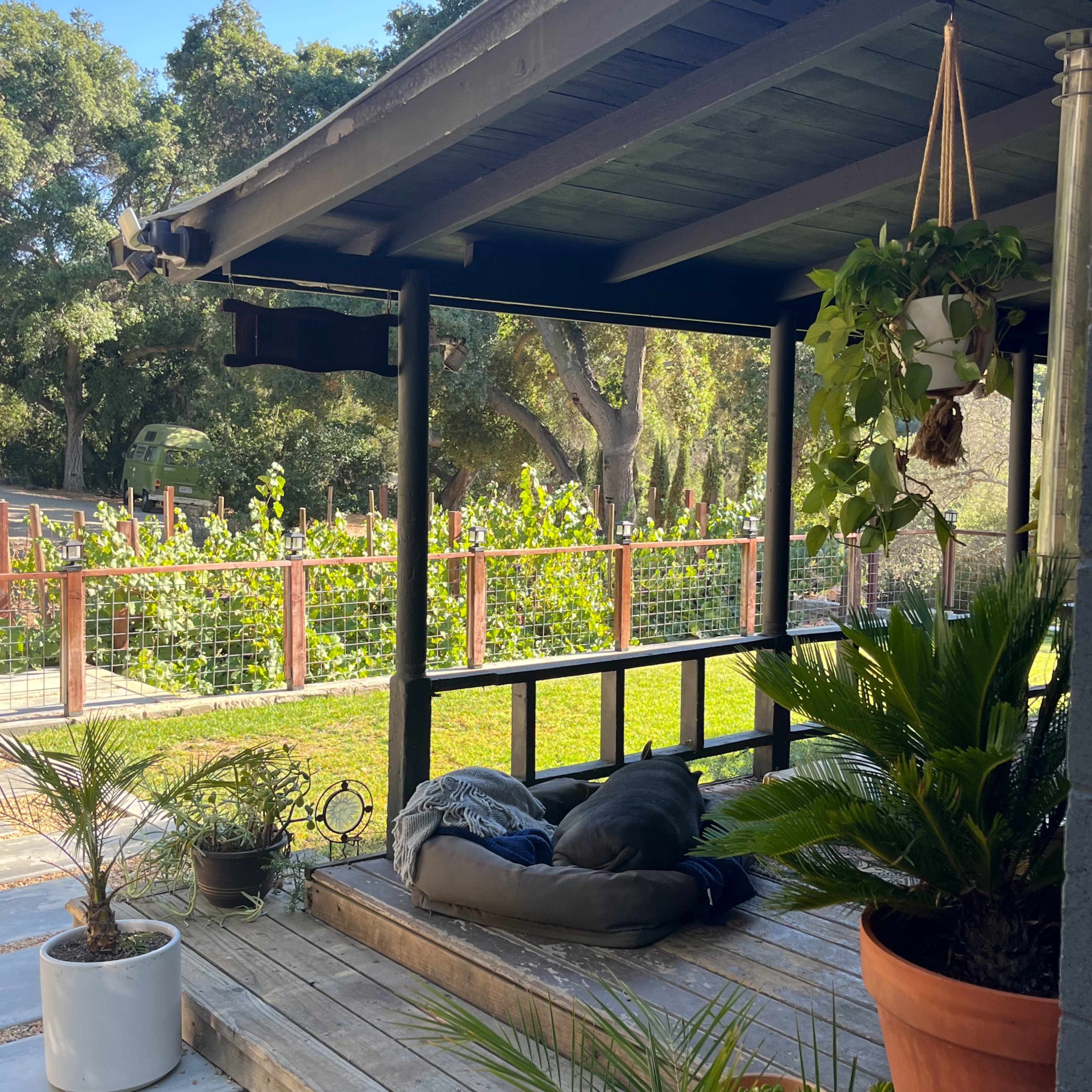 A wooden porch features a seating area with cushions, surrounded by potted plants and views of a garden beyond a fence.