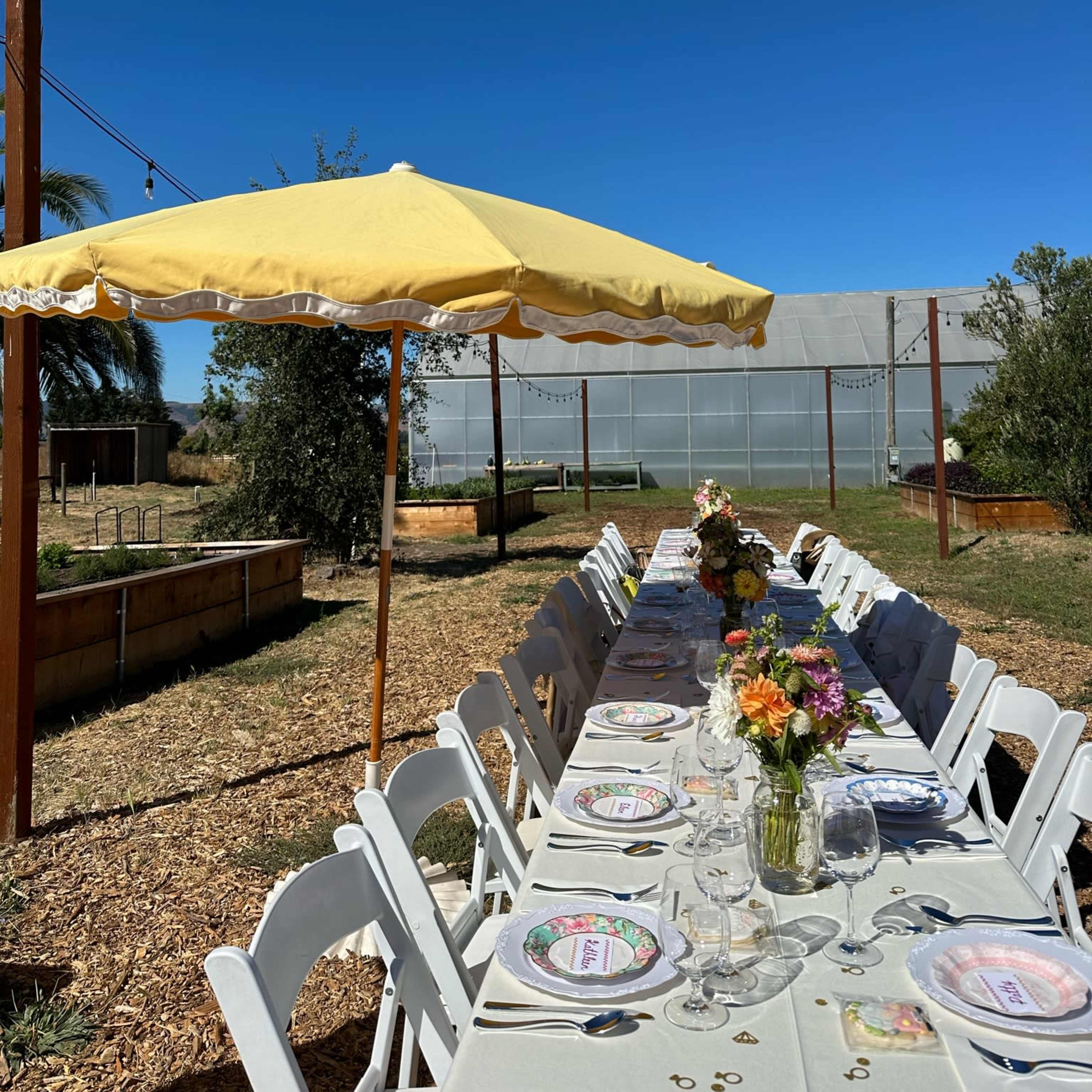 A long dining table is set outside under a yellow umbrella, surrounded by greenery and a greenhouse in the background.