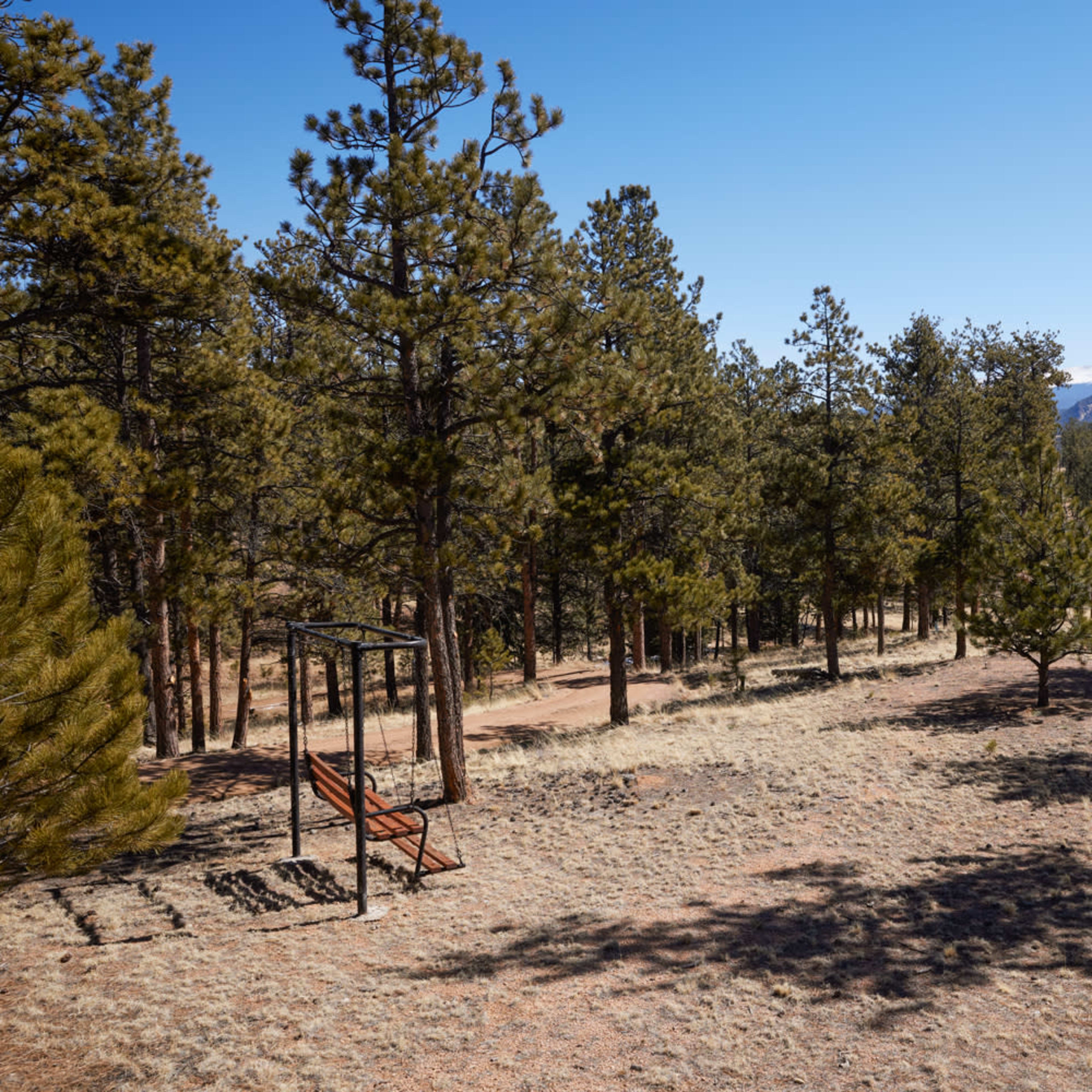A wooden swing set in a forested area with sparse grass and pine trees under a clear blue sky.