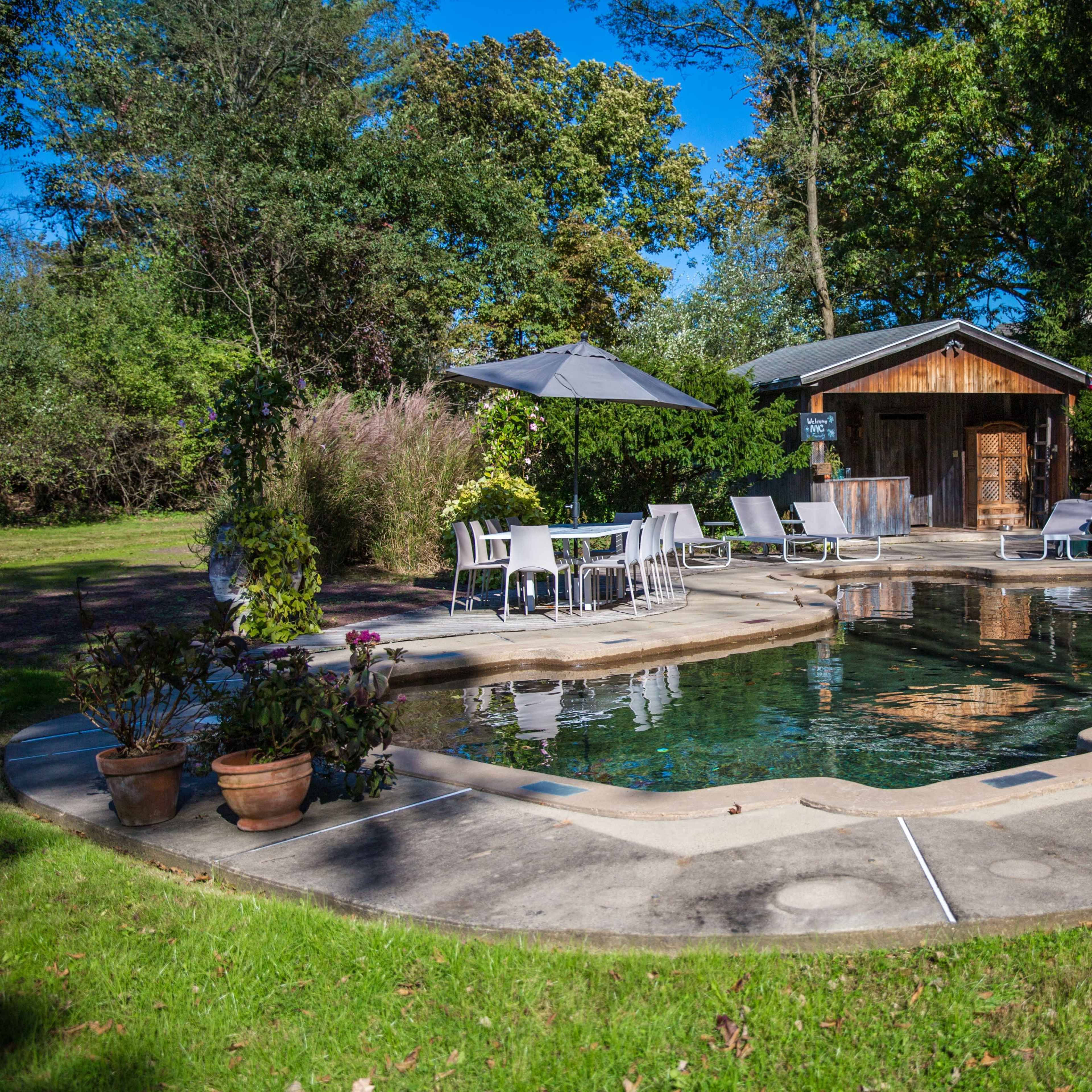 A landscaped backyard features a rectangular pool surrounded by lounge chairs and tables, with a wooden shed in the background.