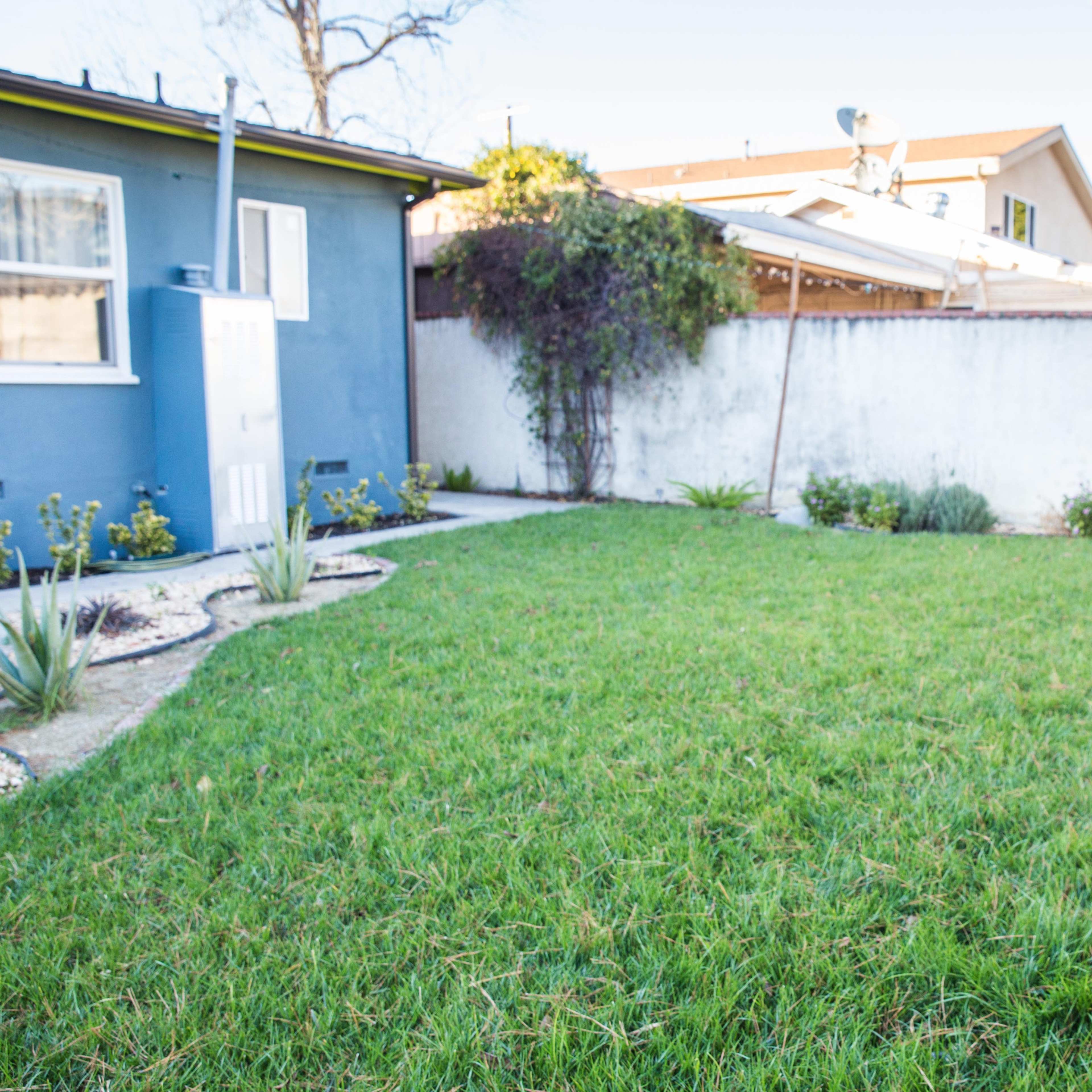 A grassy backyard with a blue house on the left, a white wall in the background, and some low plants along the edges.