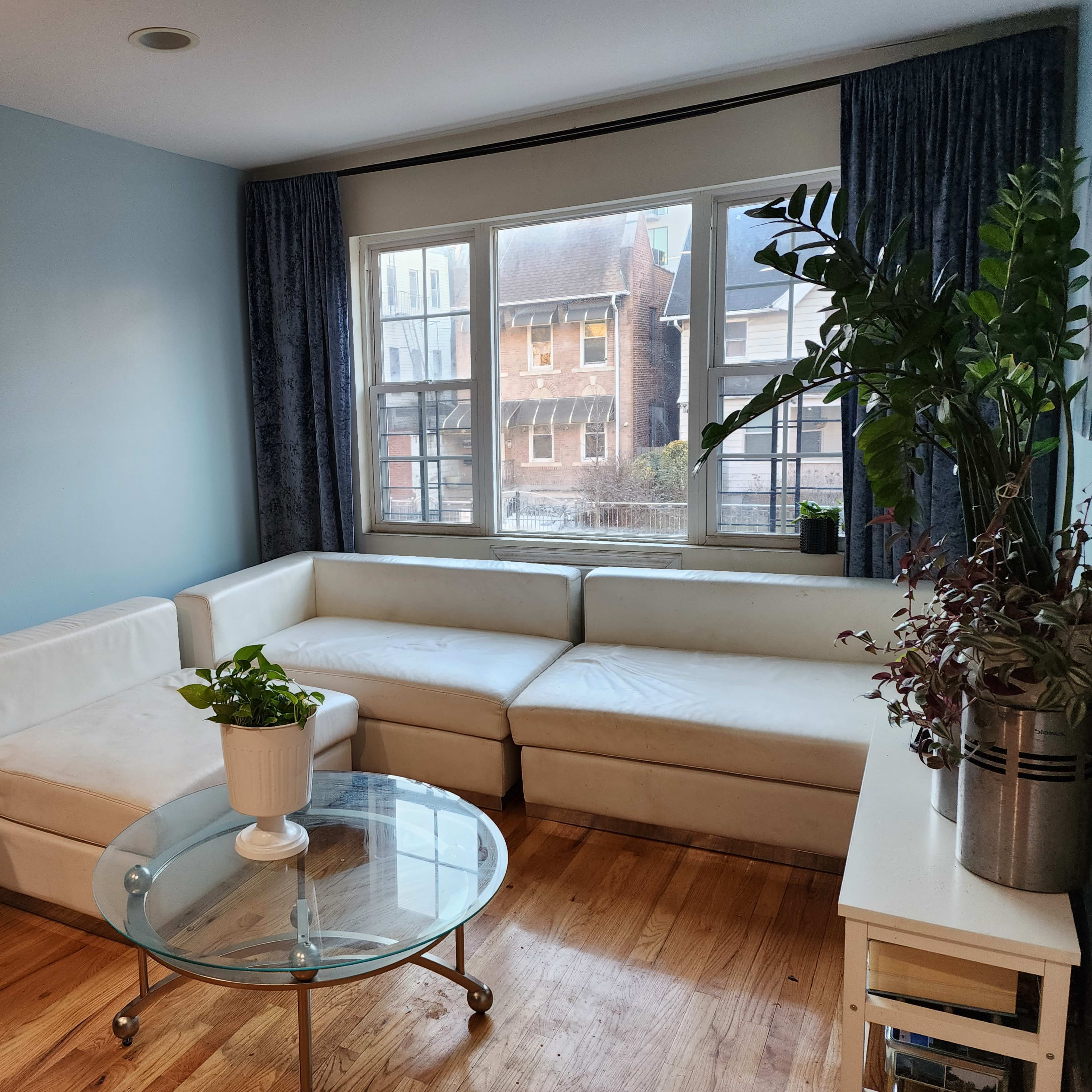 A living room with a white sectional sofa, a glass coffee table, and a plant on a side table, illuminated by natural light from large windows.