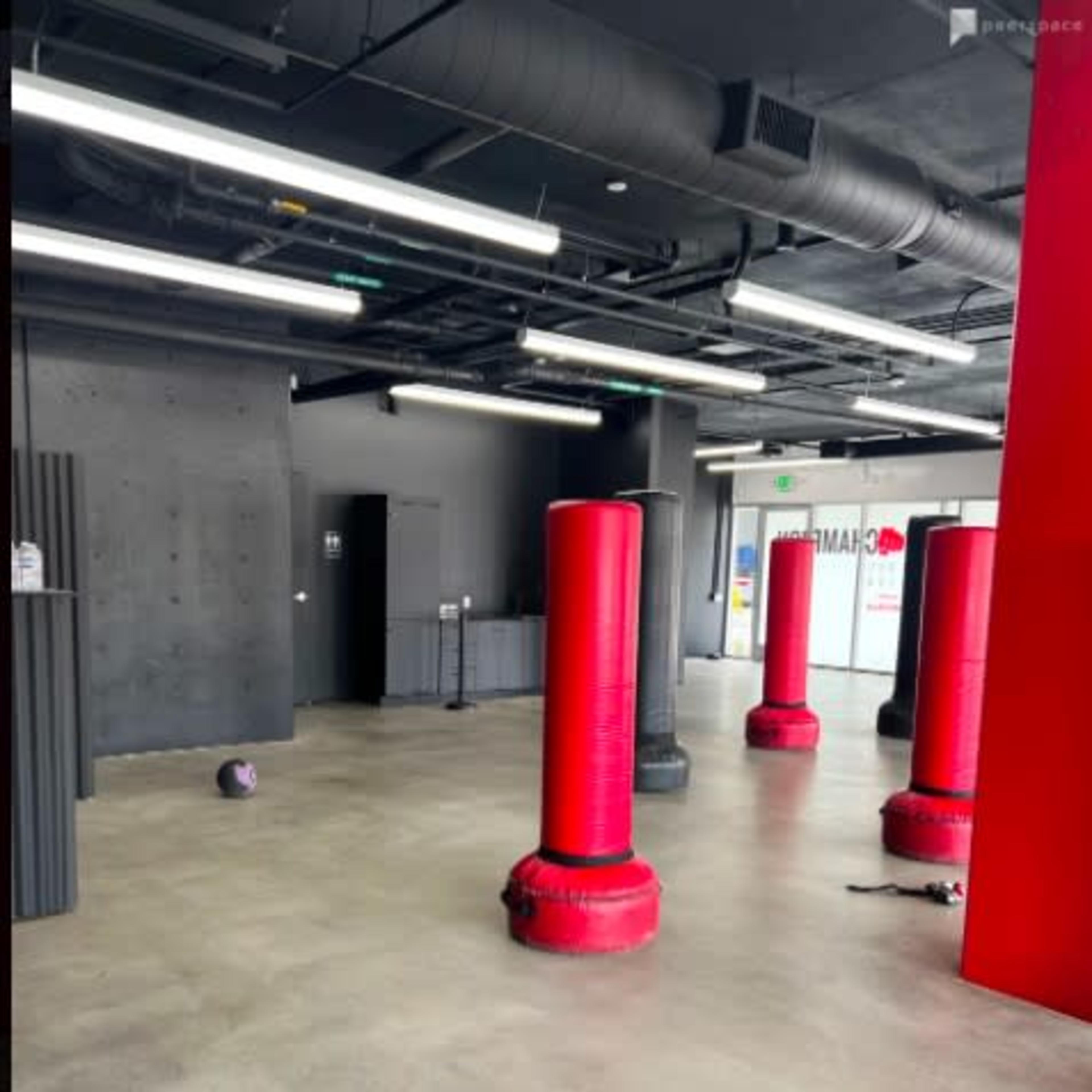 An empty gym interior with multiple red punching bags arranged in a spacious area and gray concrete flooring.