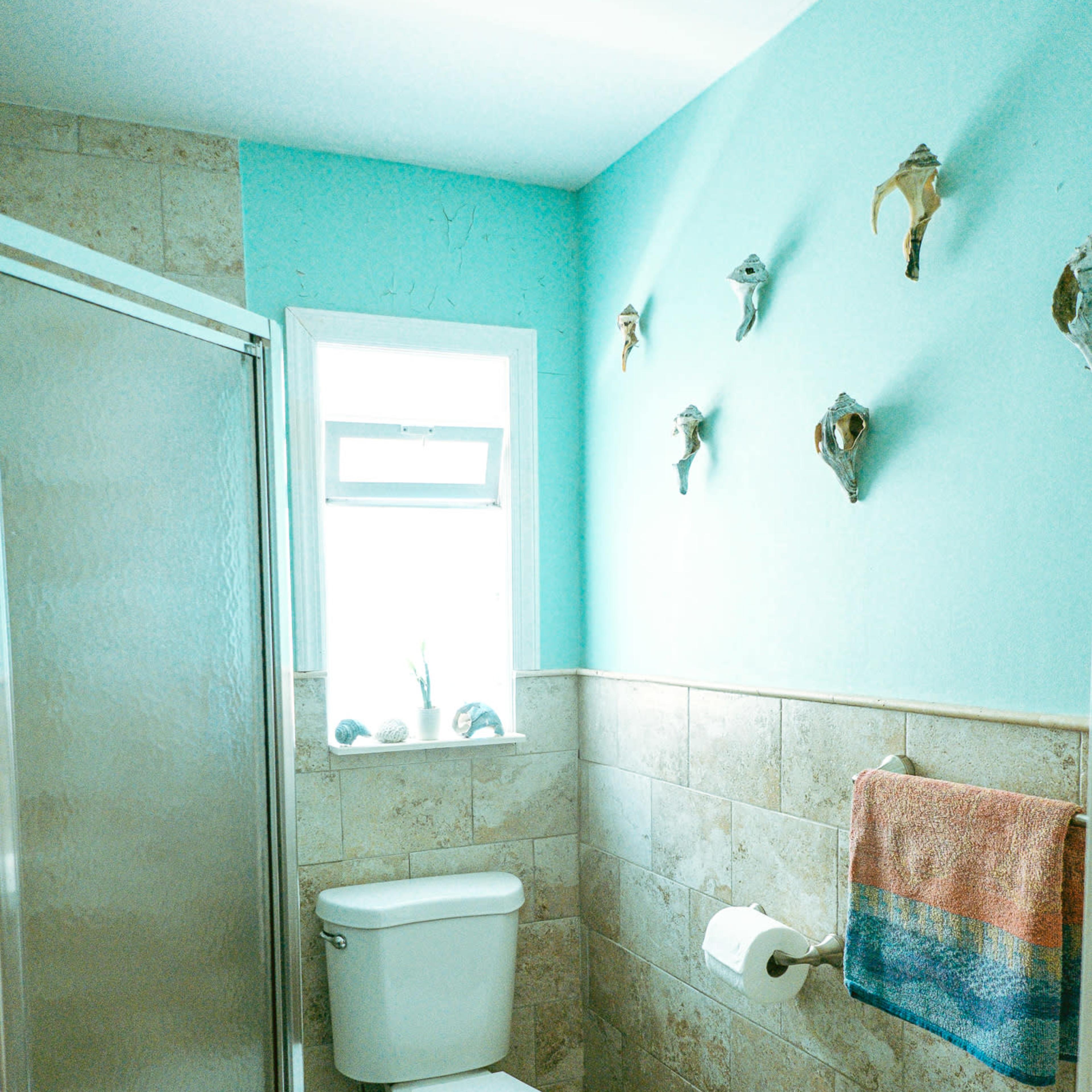 A bathroom with a shower stall, a white toilet, a window, light blue walls, and decorative fish mounted on the wall.
