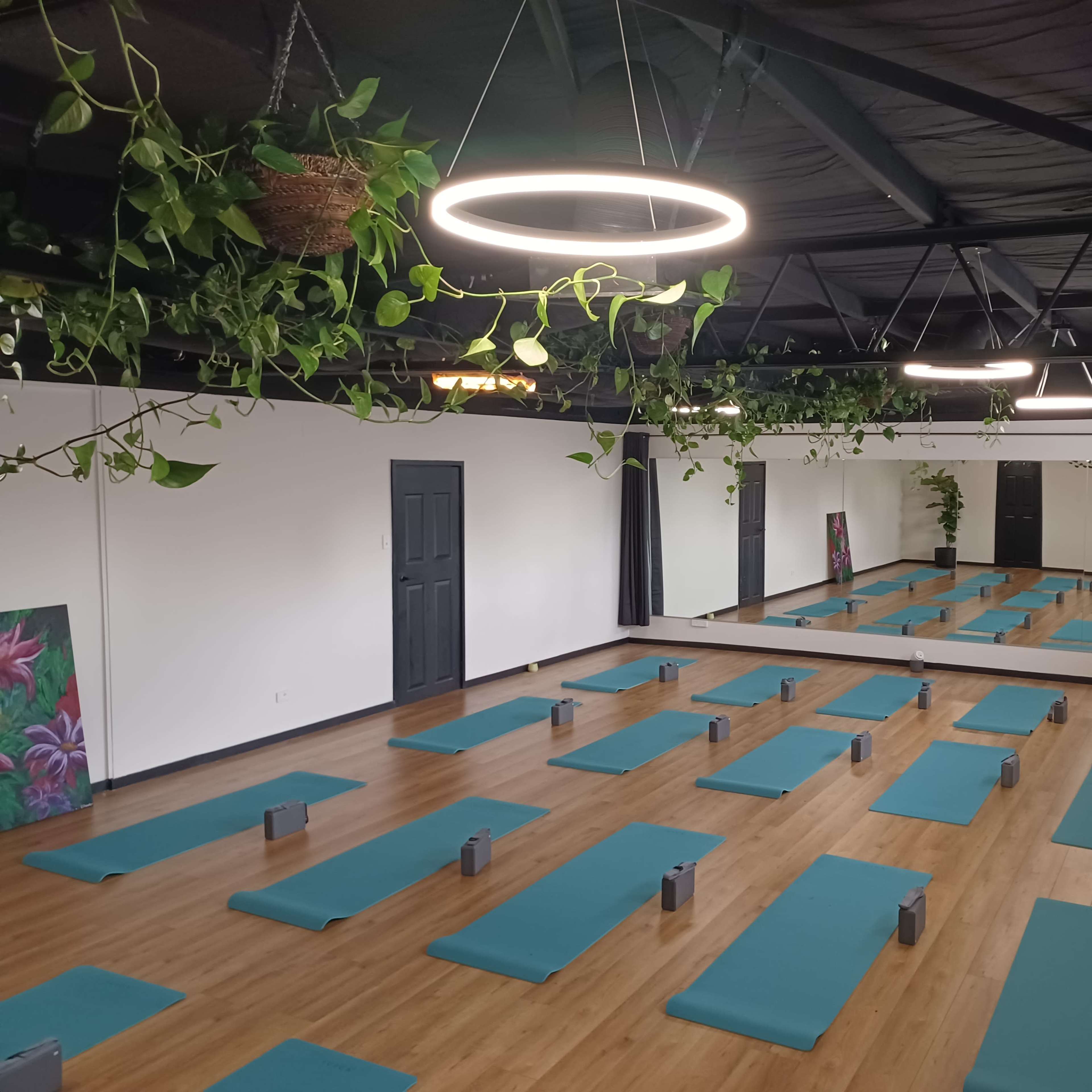 A yoga studio with teal mats arranged in rows on a wooden floor, surrounded by plants and illuminated by circular light fixtures.