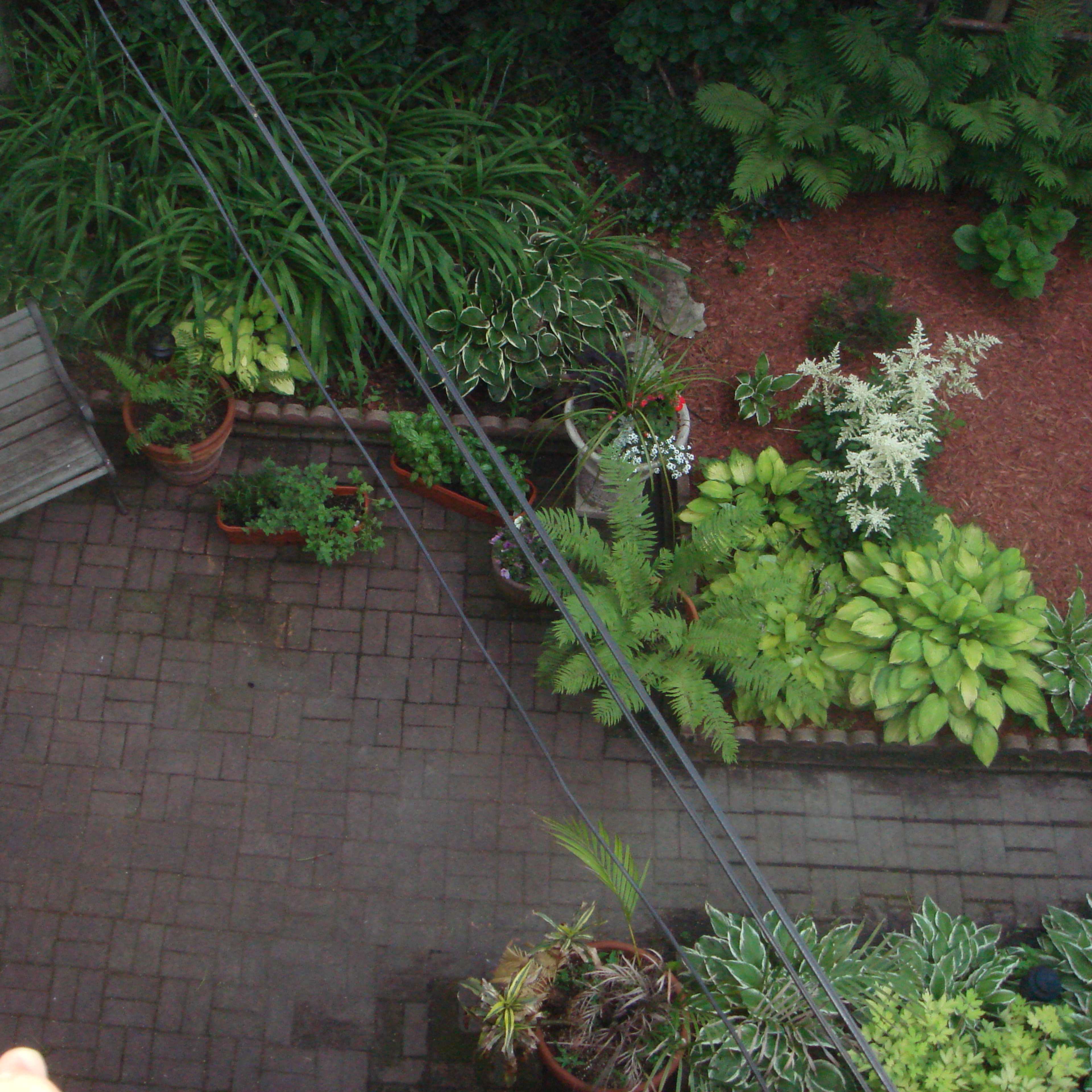 A garden area with a wooden bench surrounded by various potted plants and greenery.