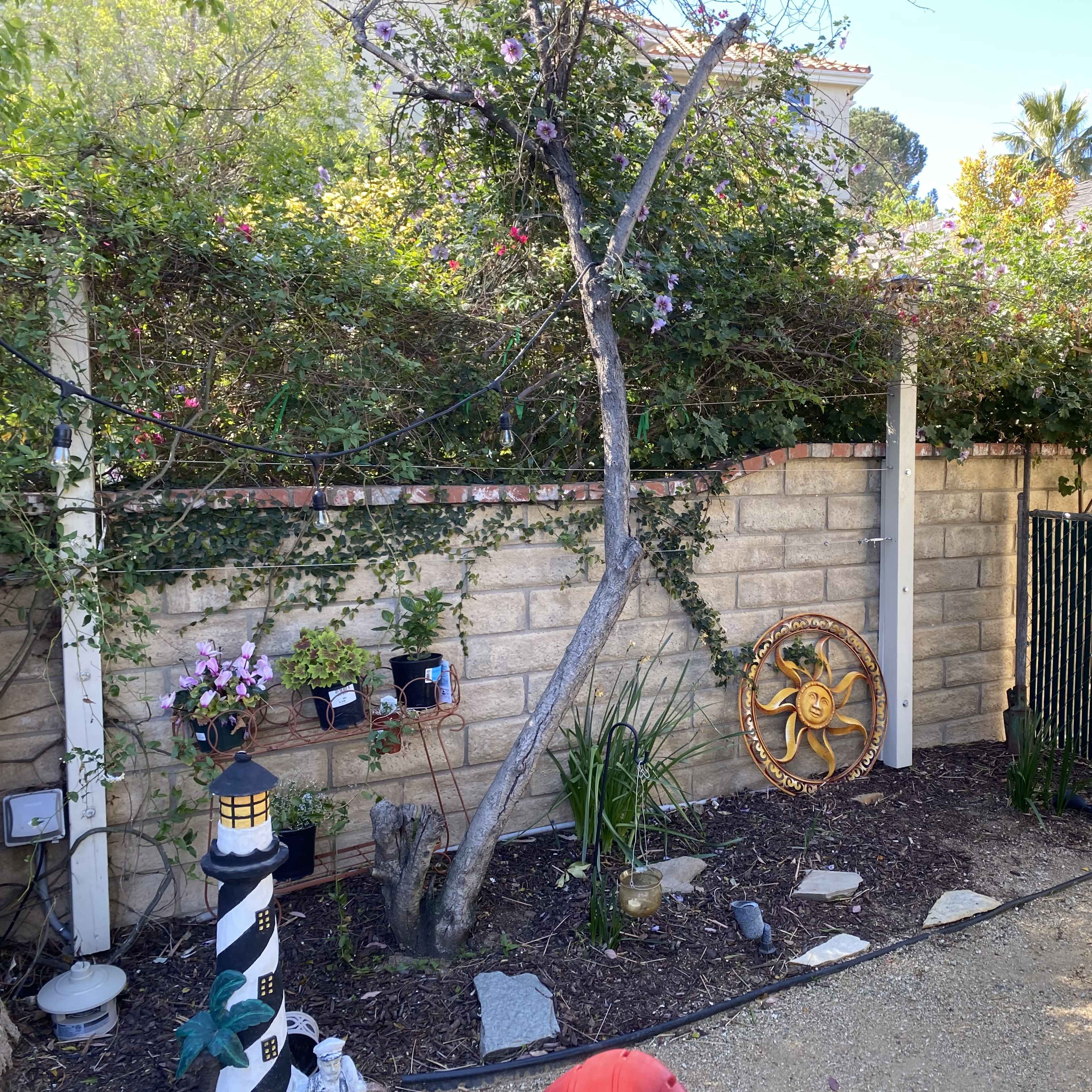 A garden area features a stone wall adorned with plants, a decorative wheel, and a metal gate.