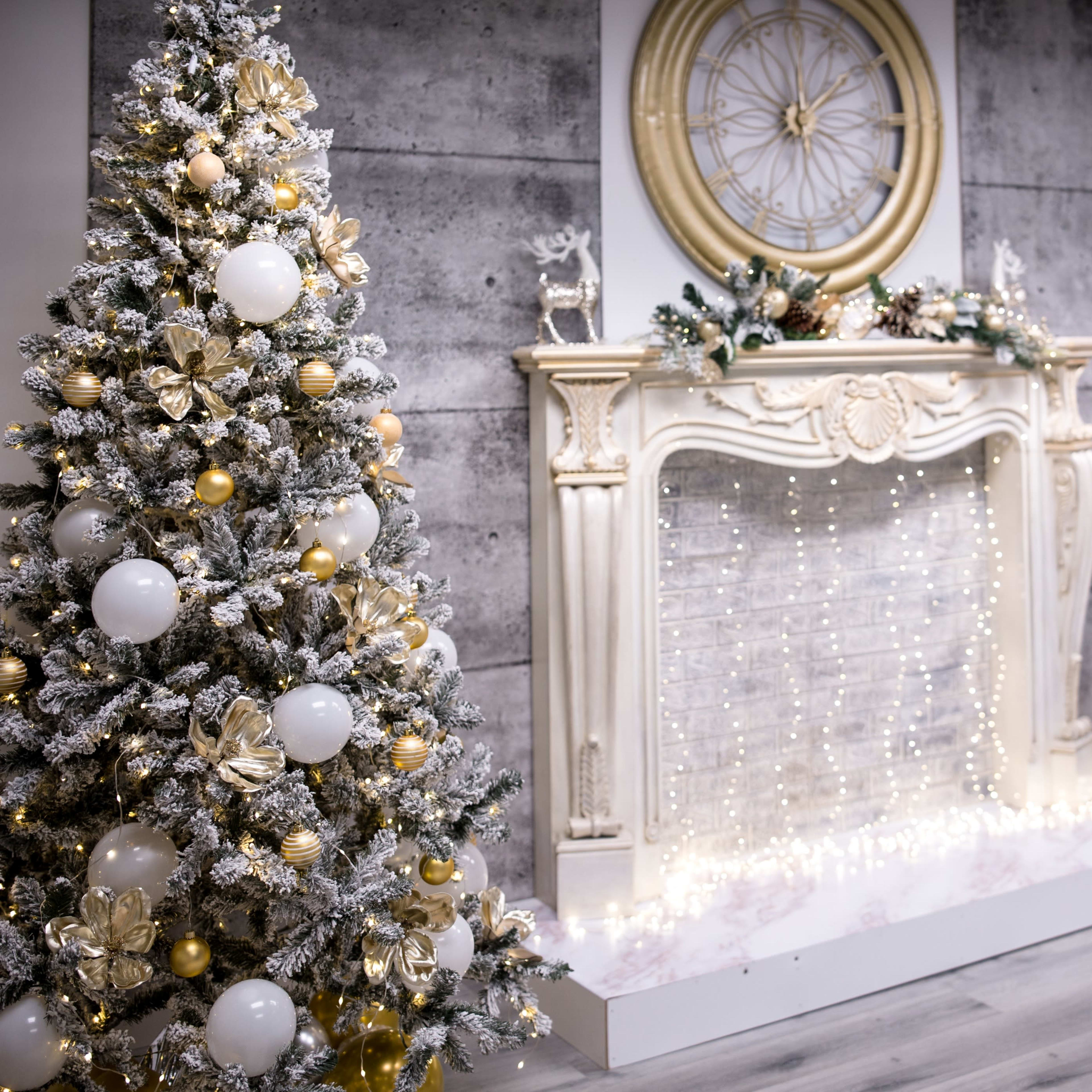 Christmas Elegant Royal Blue  Photo Studio with Luxe Golden Decor Image in East Vancouver, Vancouver, BC