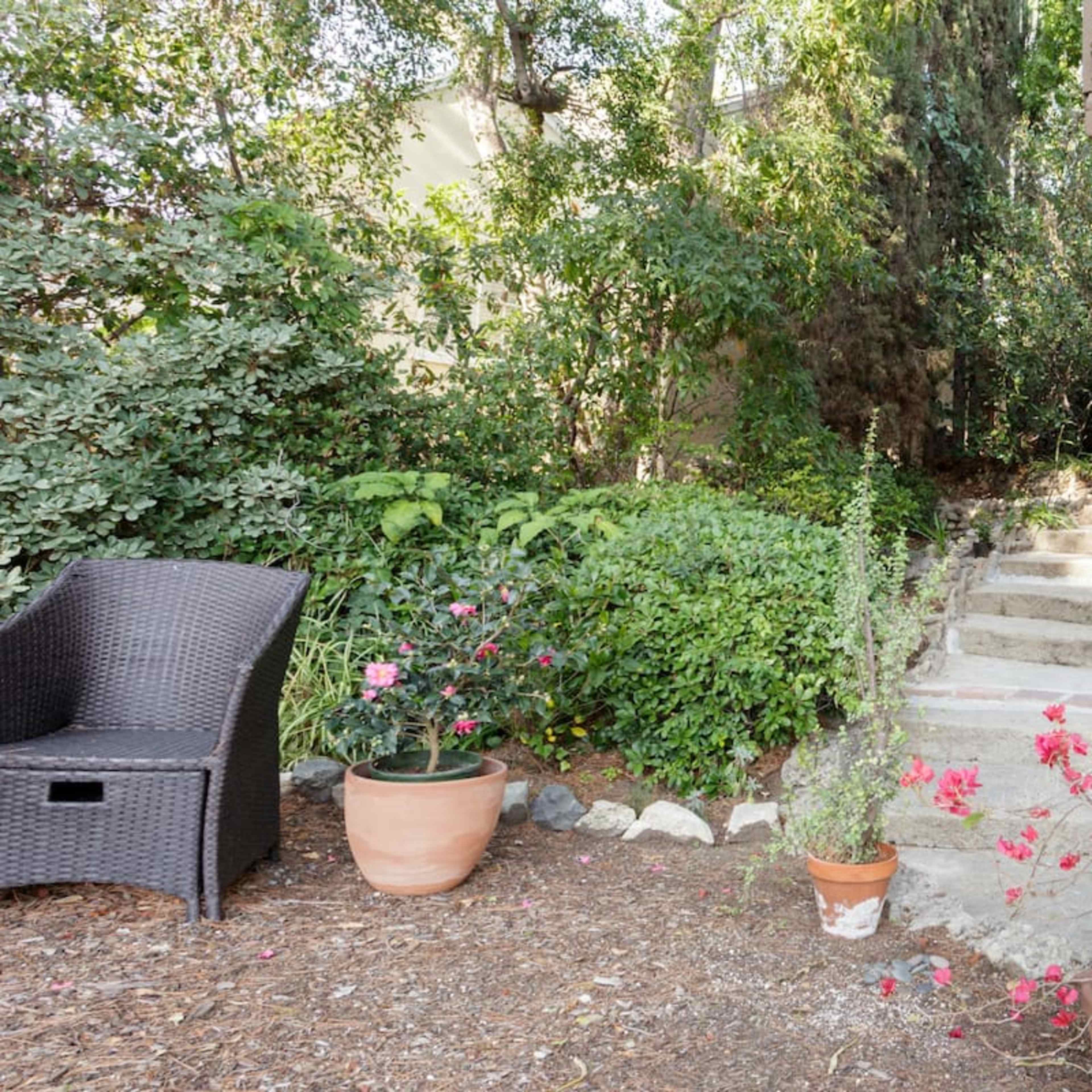 A stone pathway leads through a garden area with potted plants and outdoor seating next to a wall.