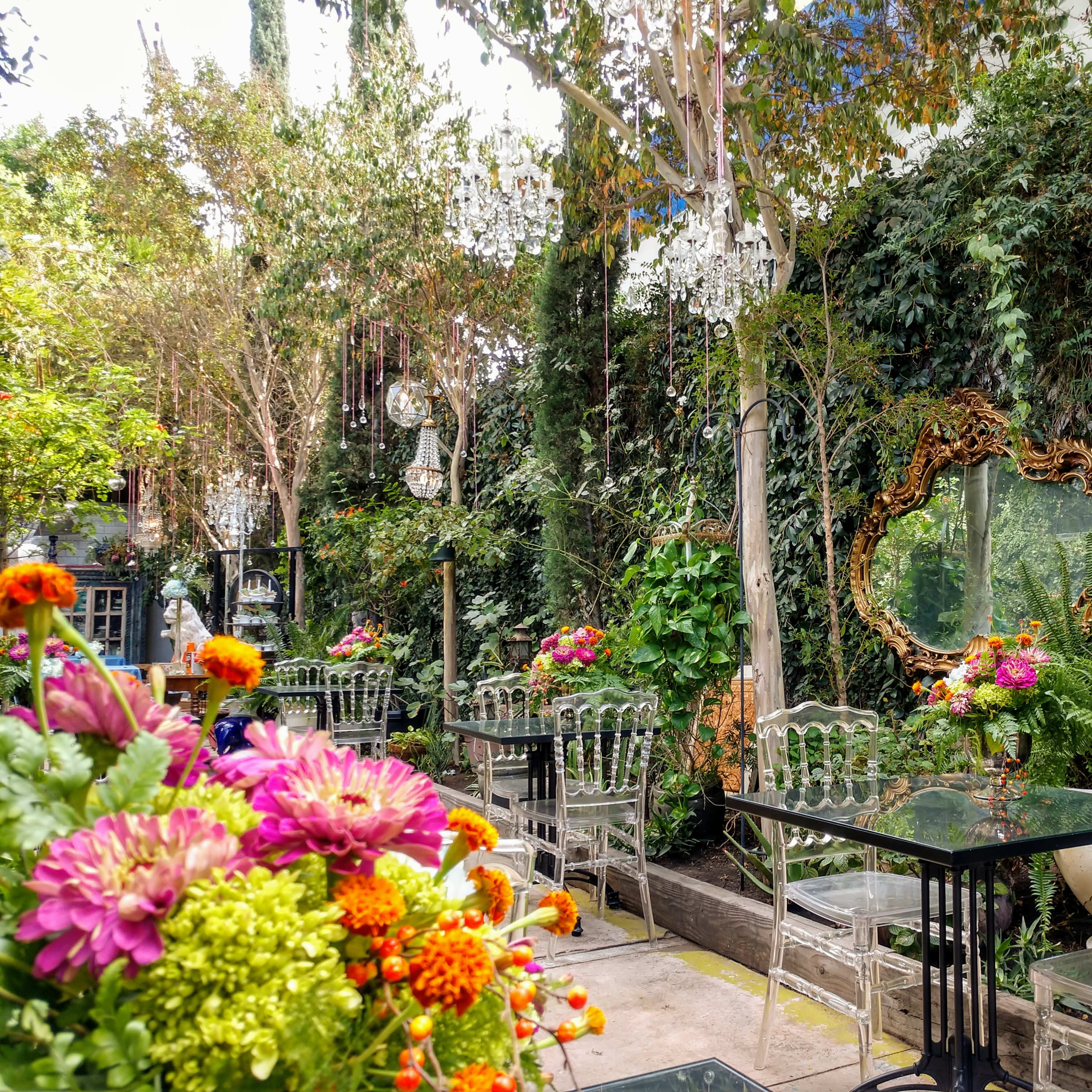 A lush garden patio with transparent acrylic chairs arranged around black tables, surrounded by vibrant flowers and greenery, and featuring a decorative mirror on a wall covered in plants.