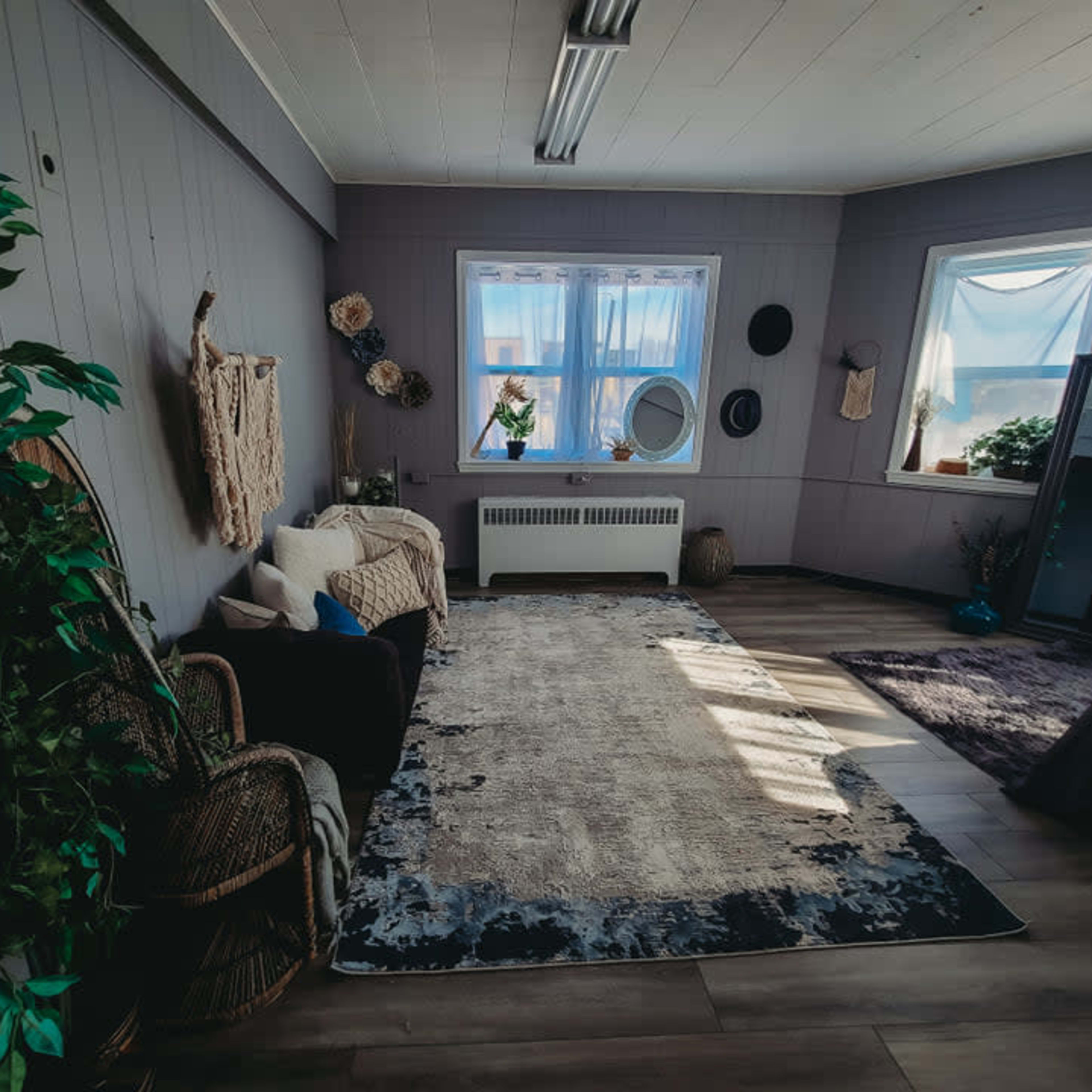A spacious, minimally furnished room featuring a large area rug, a window with natural light, and decorative plants.