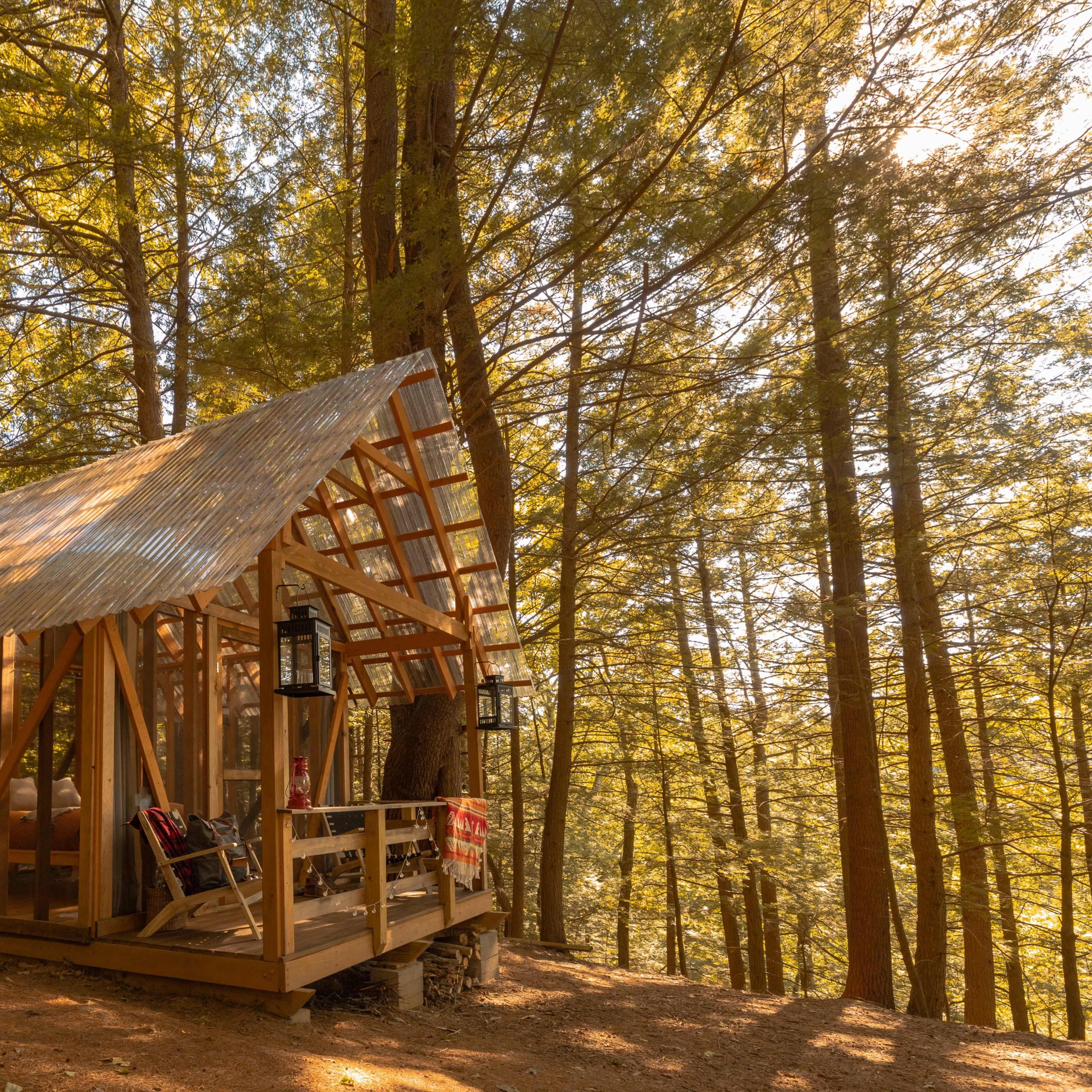 A wooden cabin with a corrugated metal roof is surrounded by tall trees in a forest clearing.
