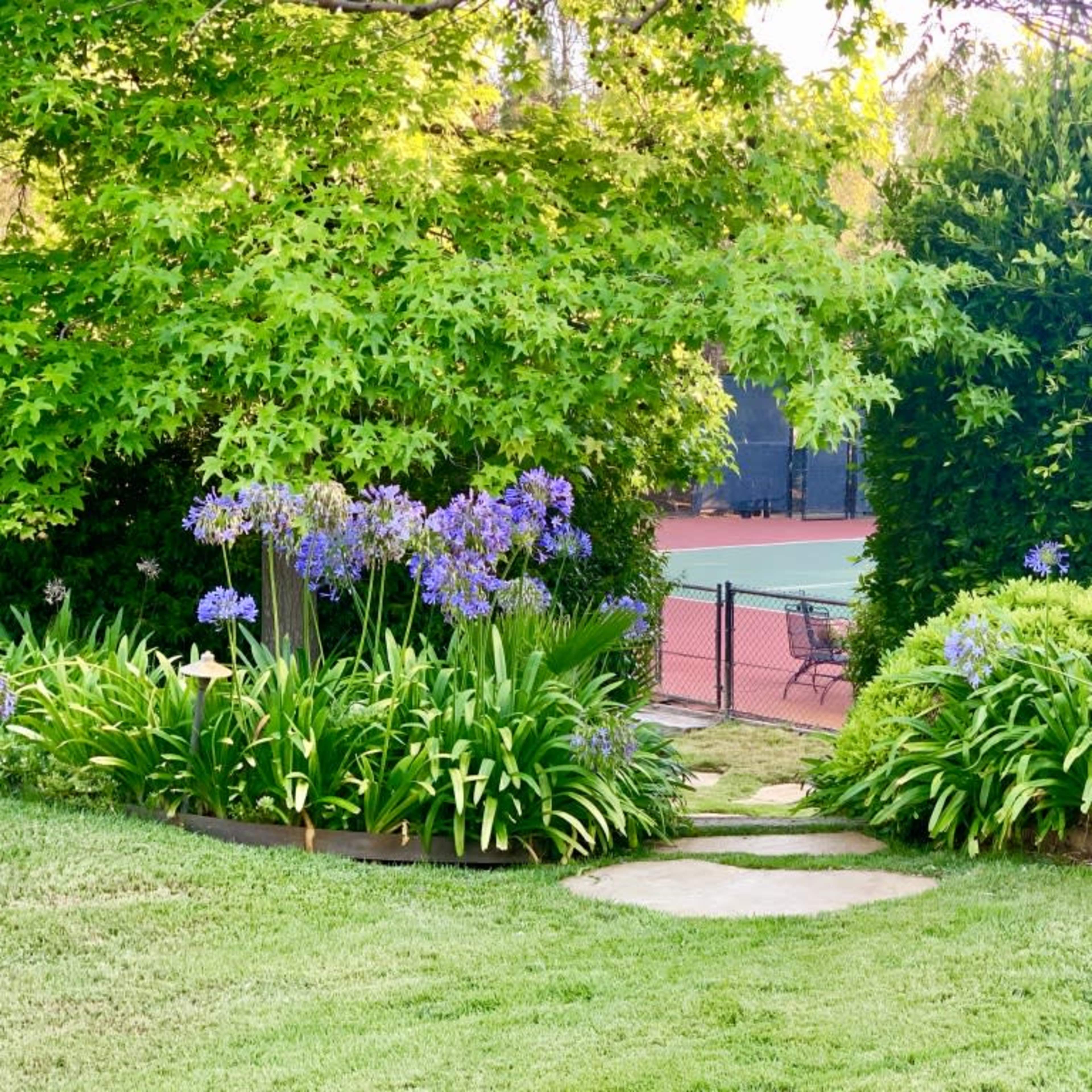 A stone path leads through green foliage and purple flowers toward a fenced tennis court in the background.