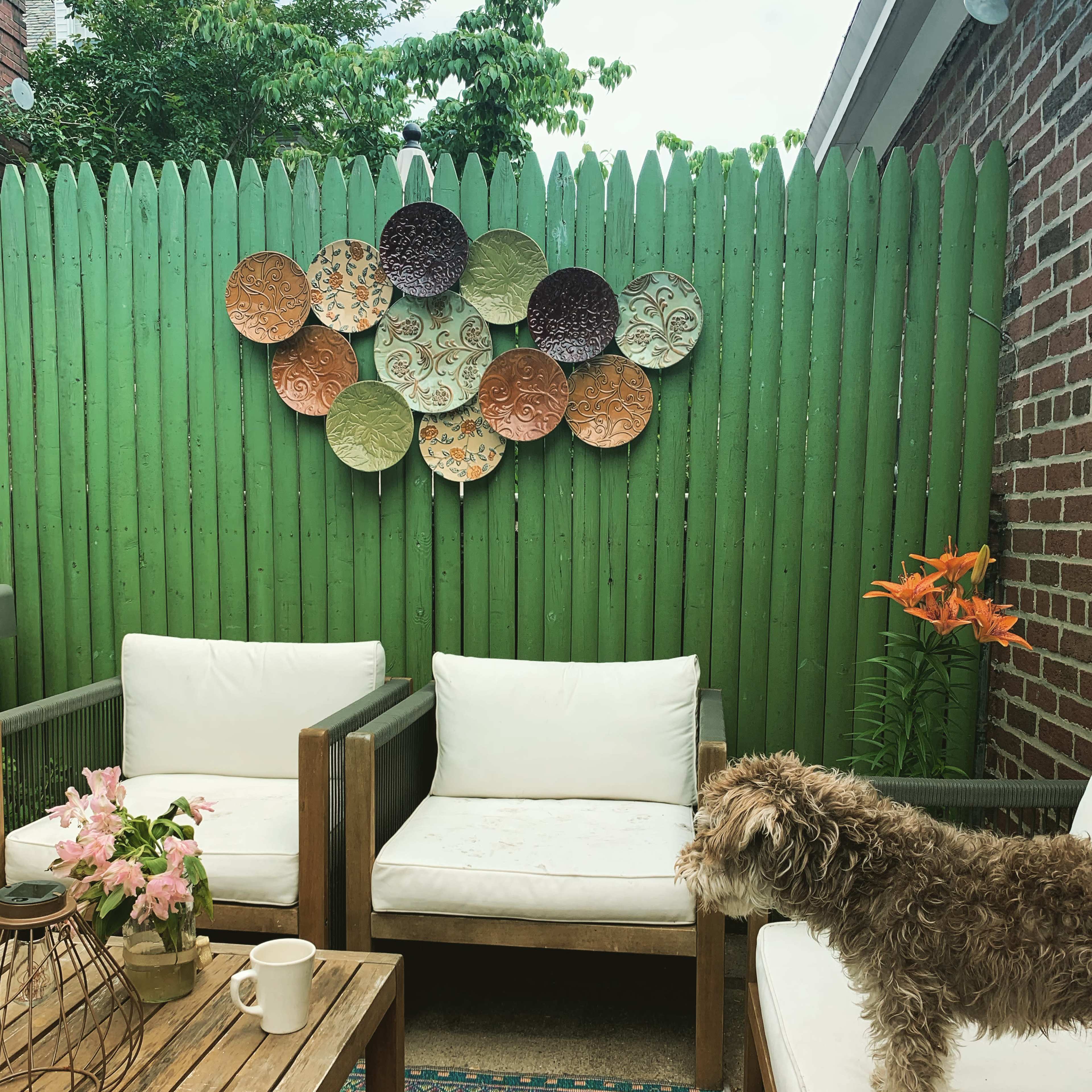 A dog stands next to a wooden table in a patio area with two white chairs, green walls adorned with decorative plates, and a small flower arrangement.