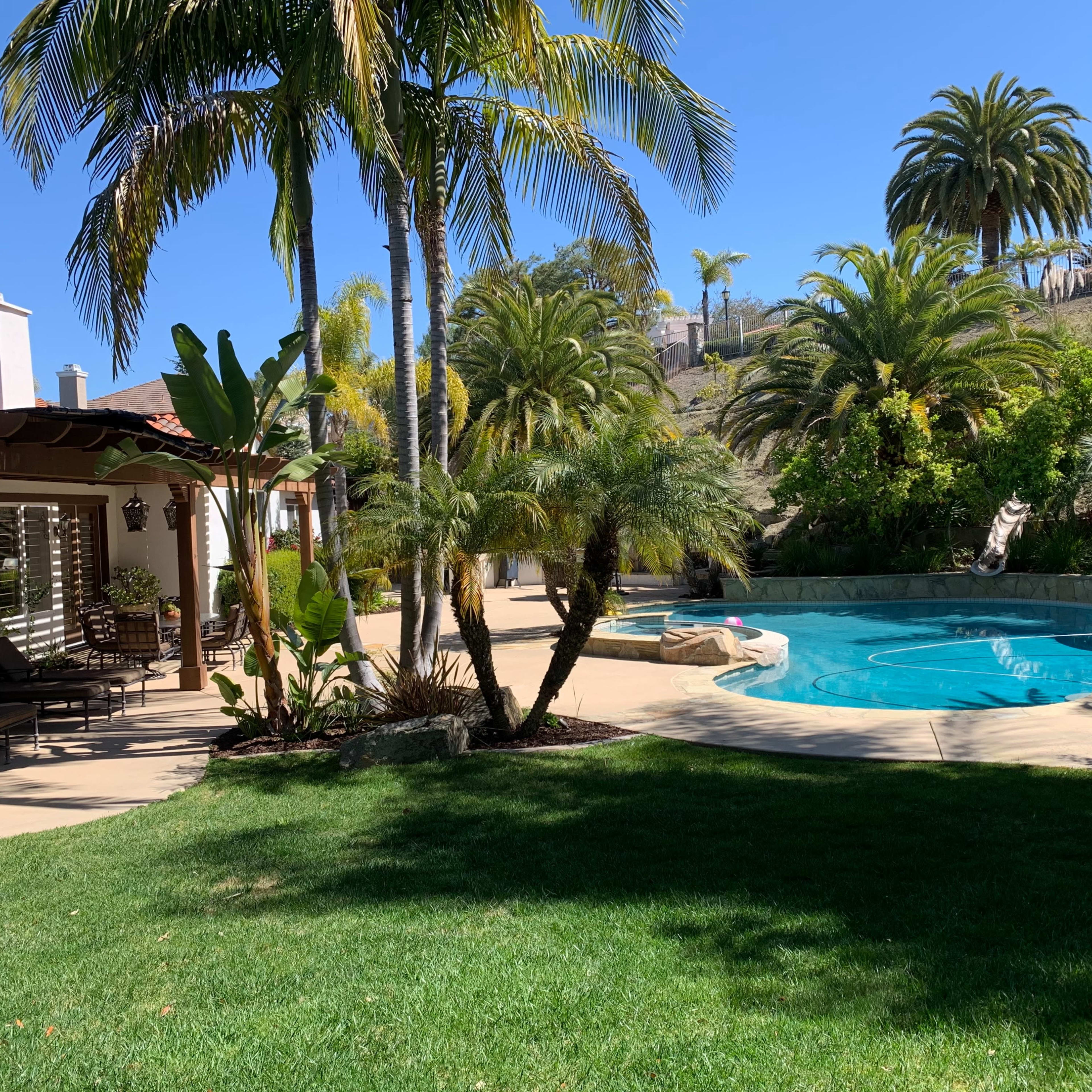 A landscaped backyard featuring a swimming pool, palm trees, and a covered patio area with lounge furniture.