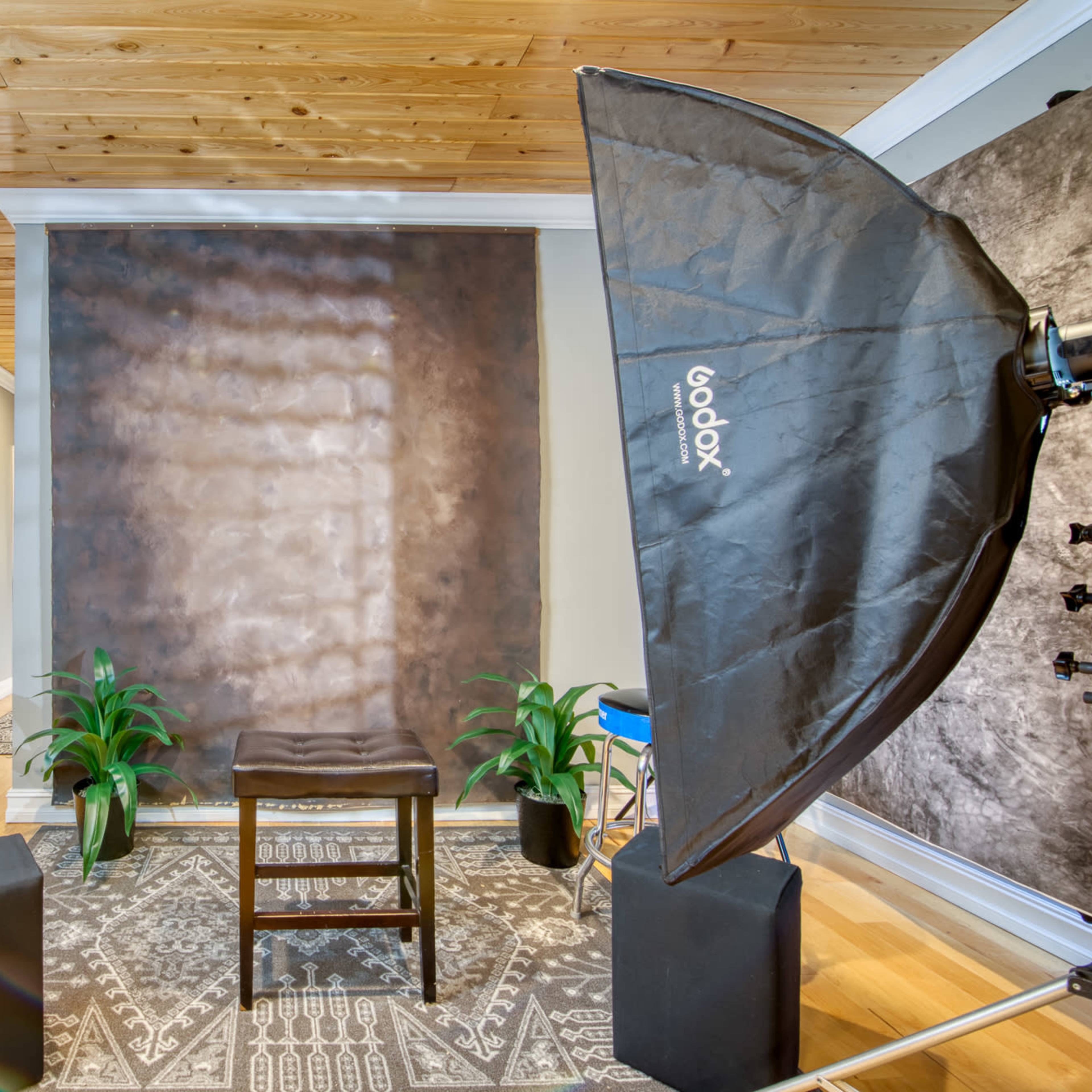 A photography studio setup with a brown backdrop, a stool at the center, softbox lights on either side, and decorative plants.