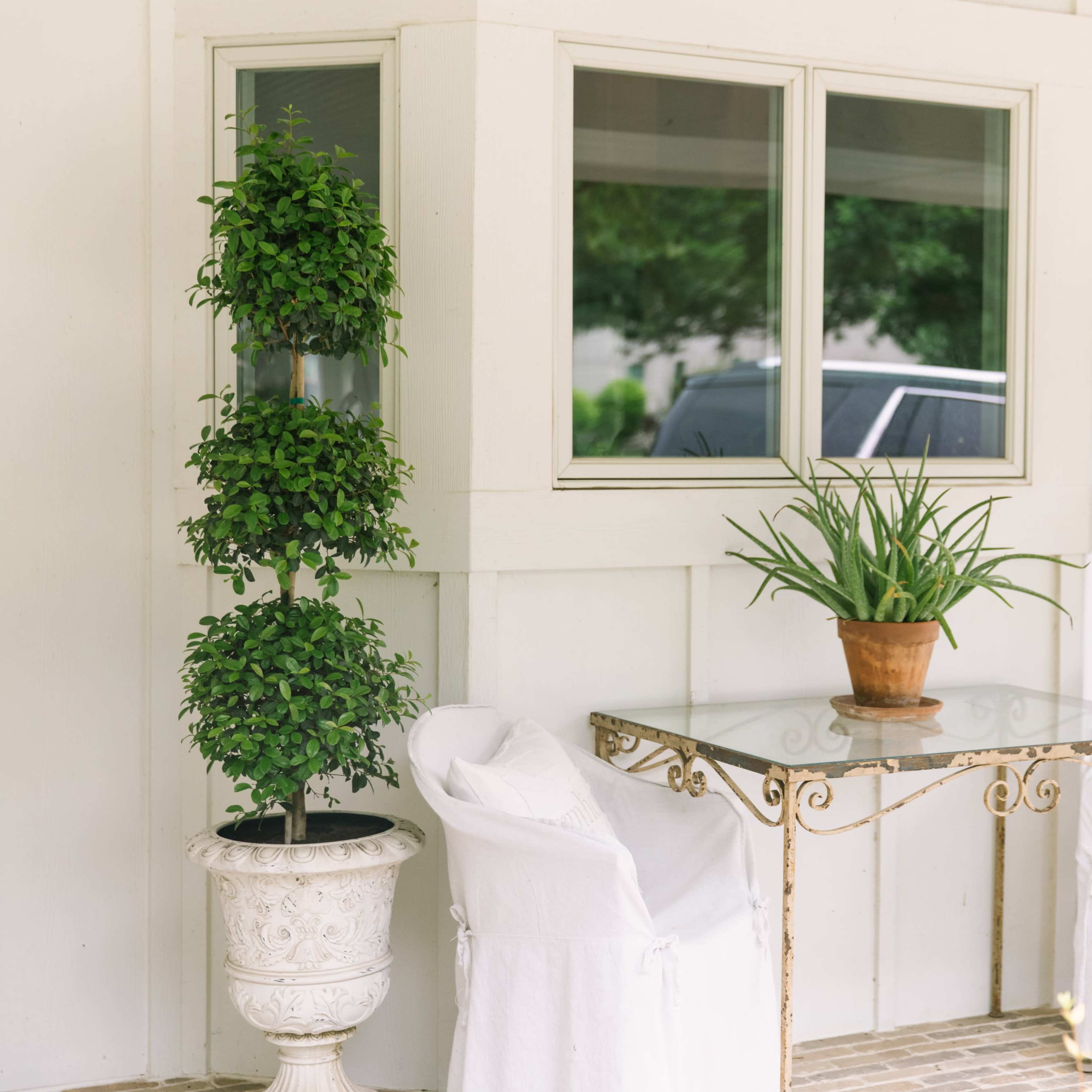 A cozy porch area featuring a glass table, two white chairs, and potted plants arranged neatly against a wall.