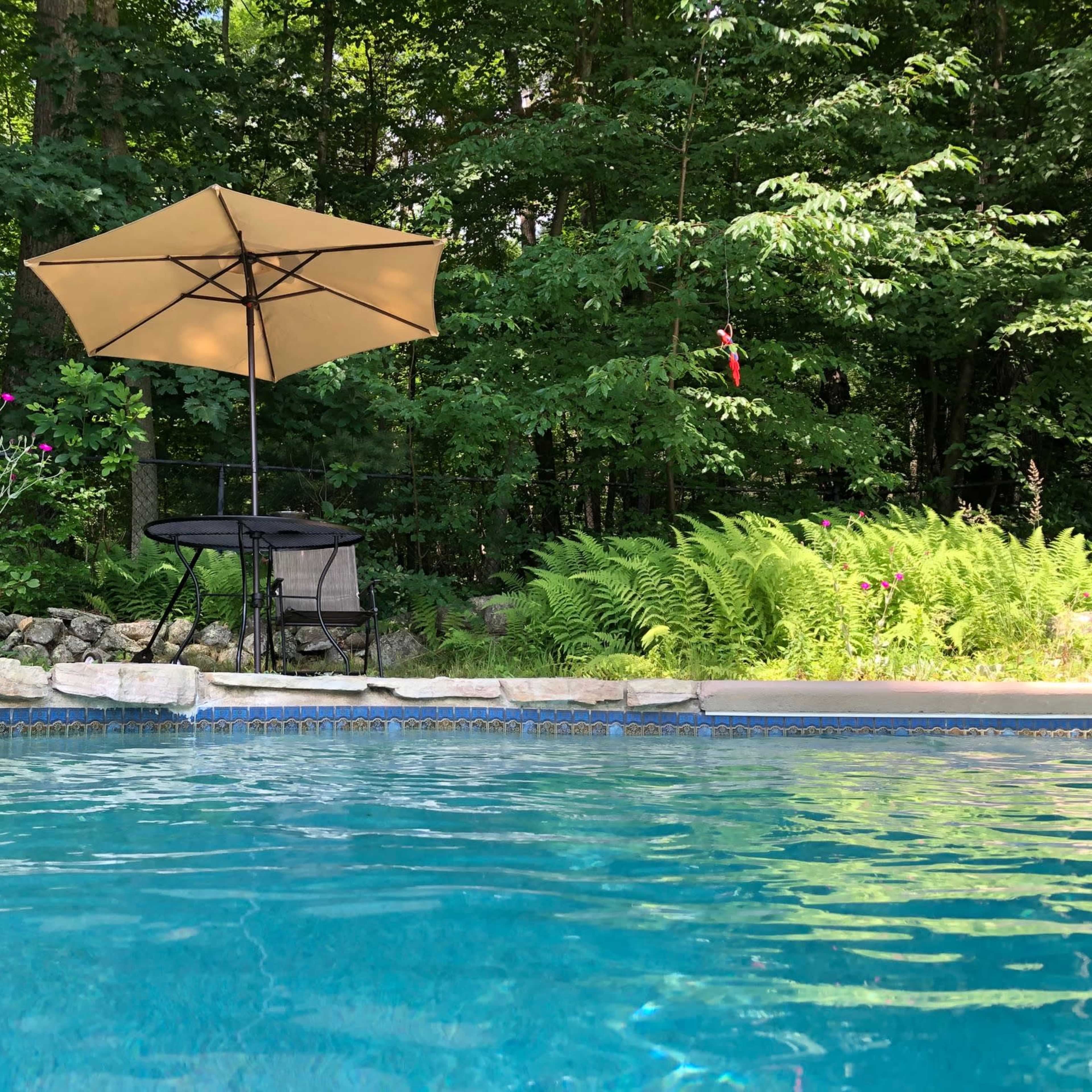 A swimming pool with clear water is bordered by a stone edge, featuring a table and chair shade under an umbrella beside lush greenery.