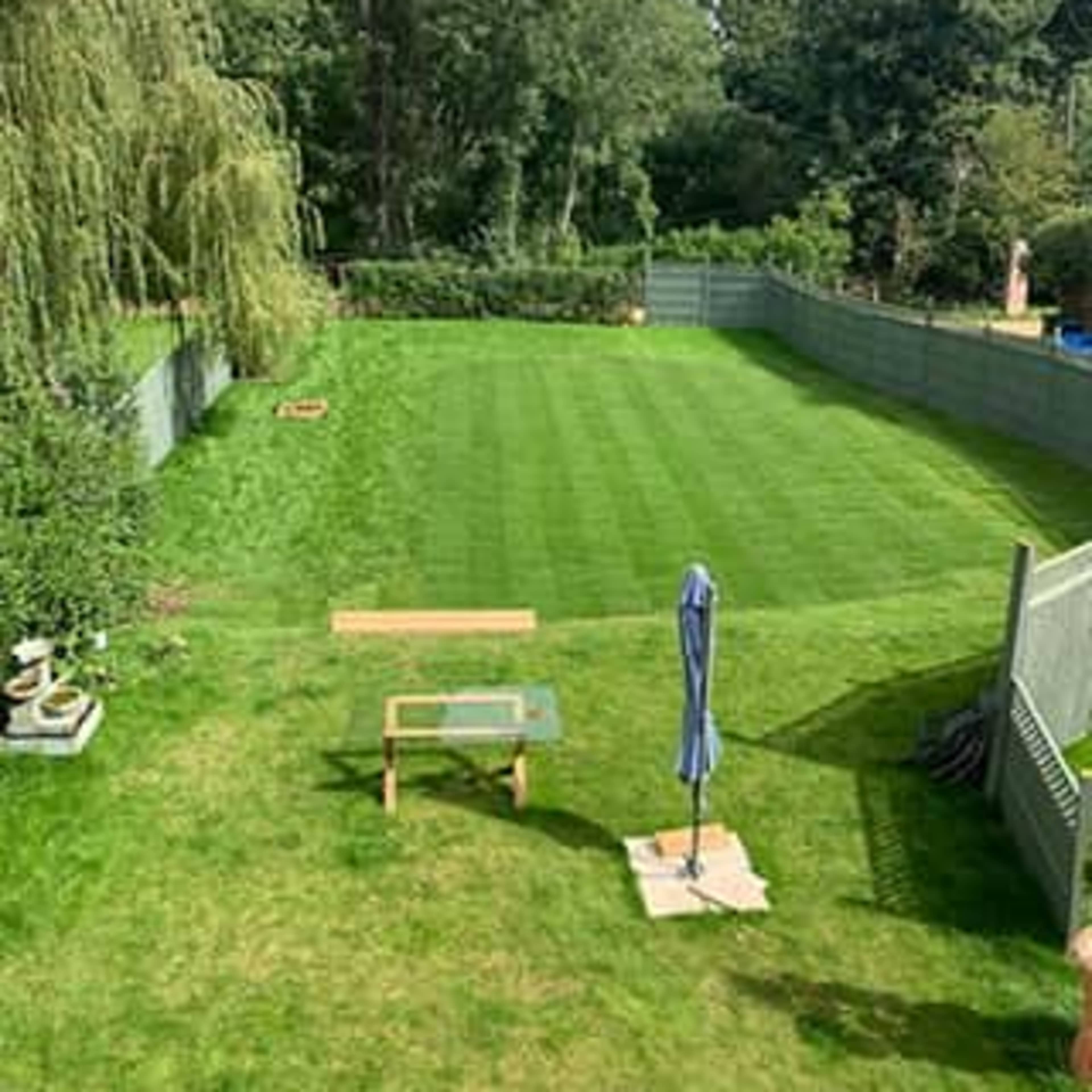 A neatly manicured lawn surrounded by trees and a fence, with a table and umbrella positioned on the grass.