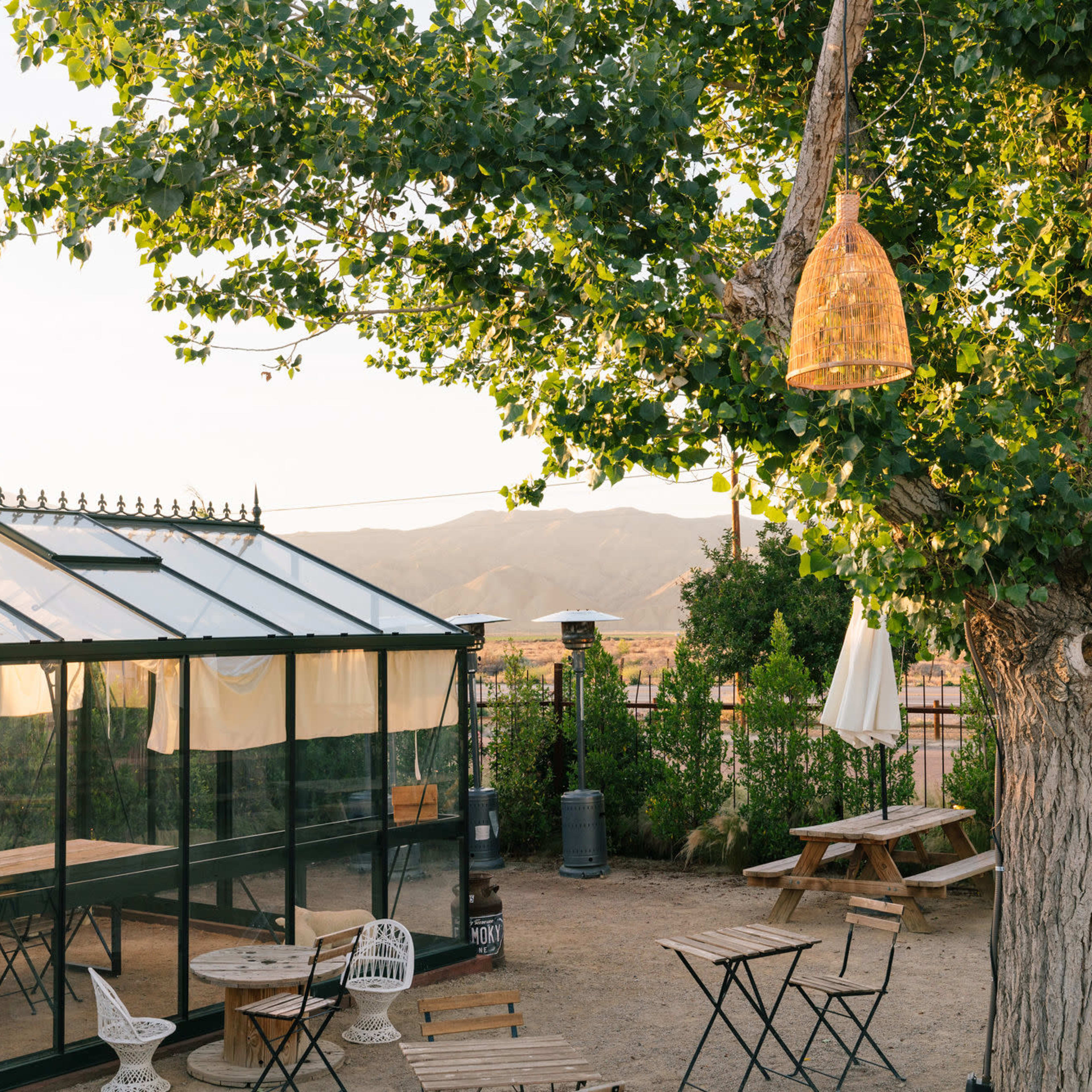 A greenhouse sits alongside wooden tables and chairs under a large tree in an outdoor gathering space.