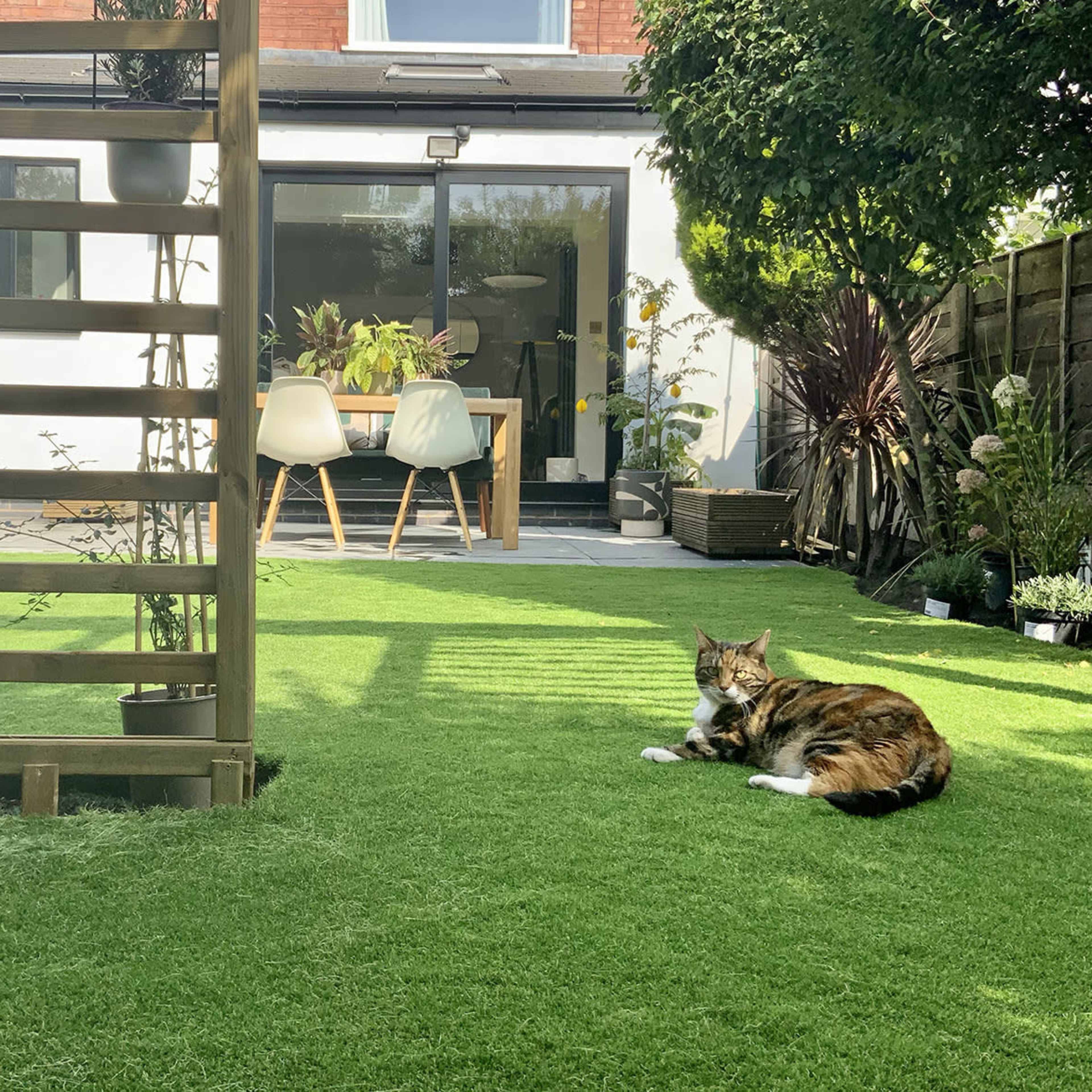 A cat lies on a green lawn in a garden with modern outdoor furniture and plants visible in the background.