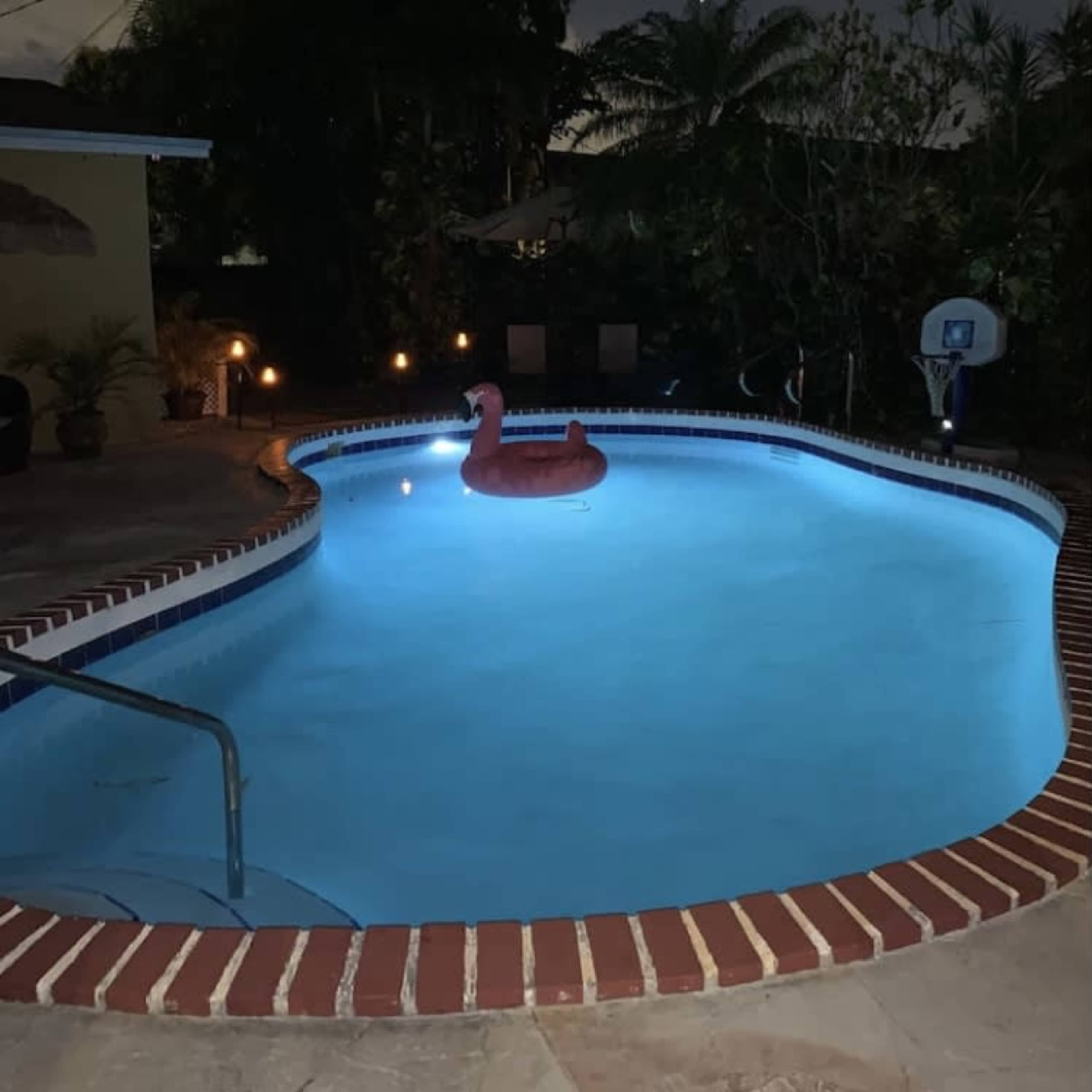 A swimming pool with a pink flamingo float is illuminated by soft lighting at night, surrounded by tropical plants and a basketball hoop.