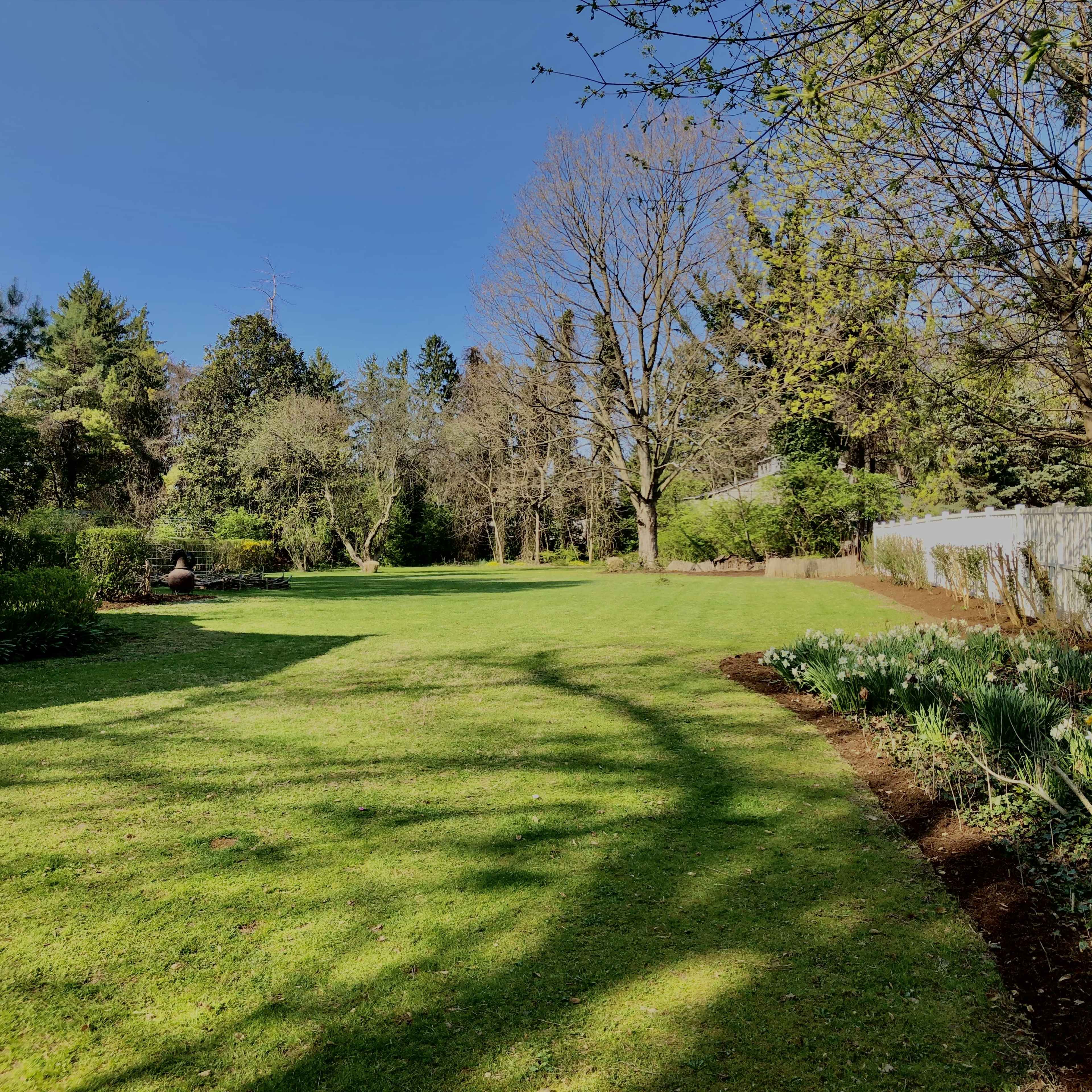 A spacious green lawn surrounded by trees and shrubs under a clear blue sky.