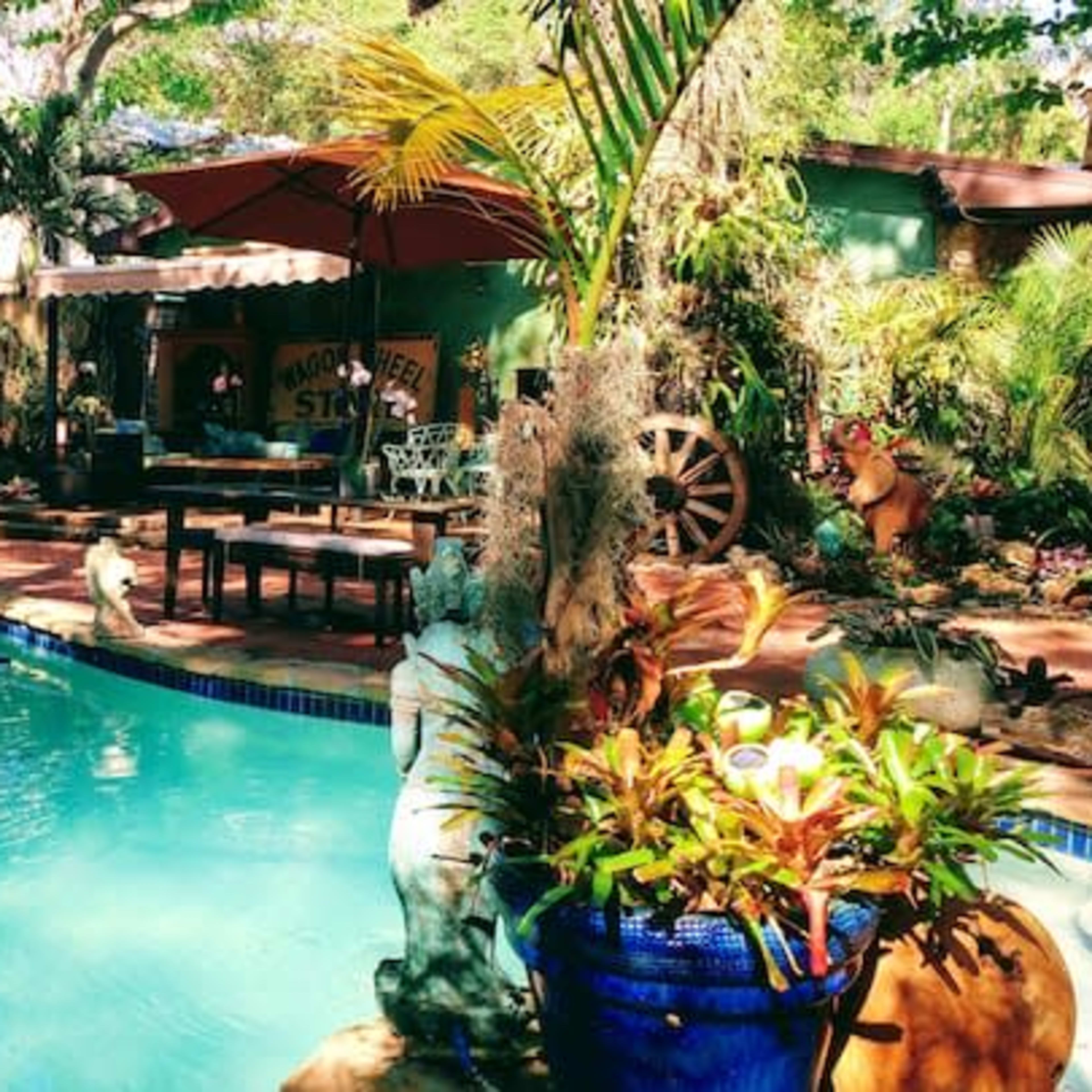 A backyard with a swimming pool surrounded by lush greenery and decorative elements.