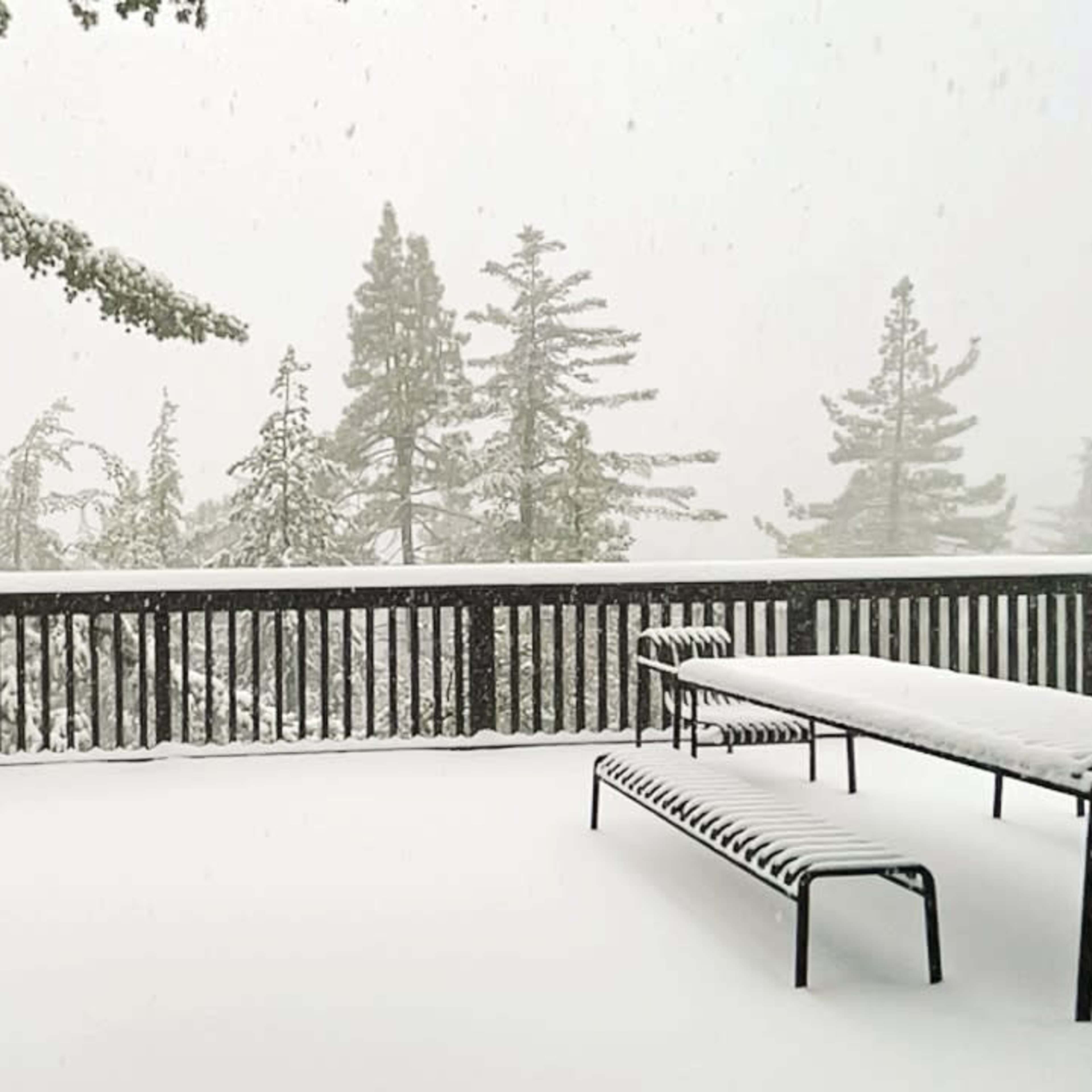 A snow-covered balcony features a black and white striped bench overlooking trees blanketed in snow during a snowfall.