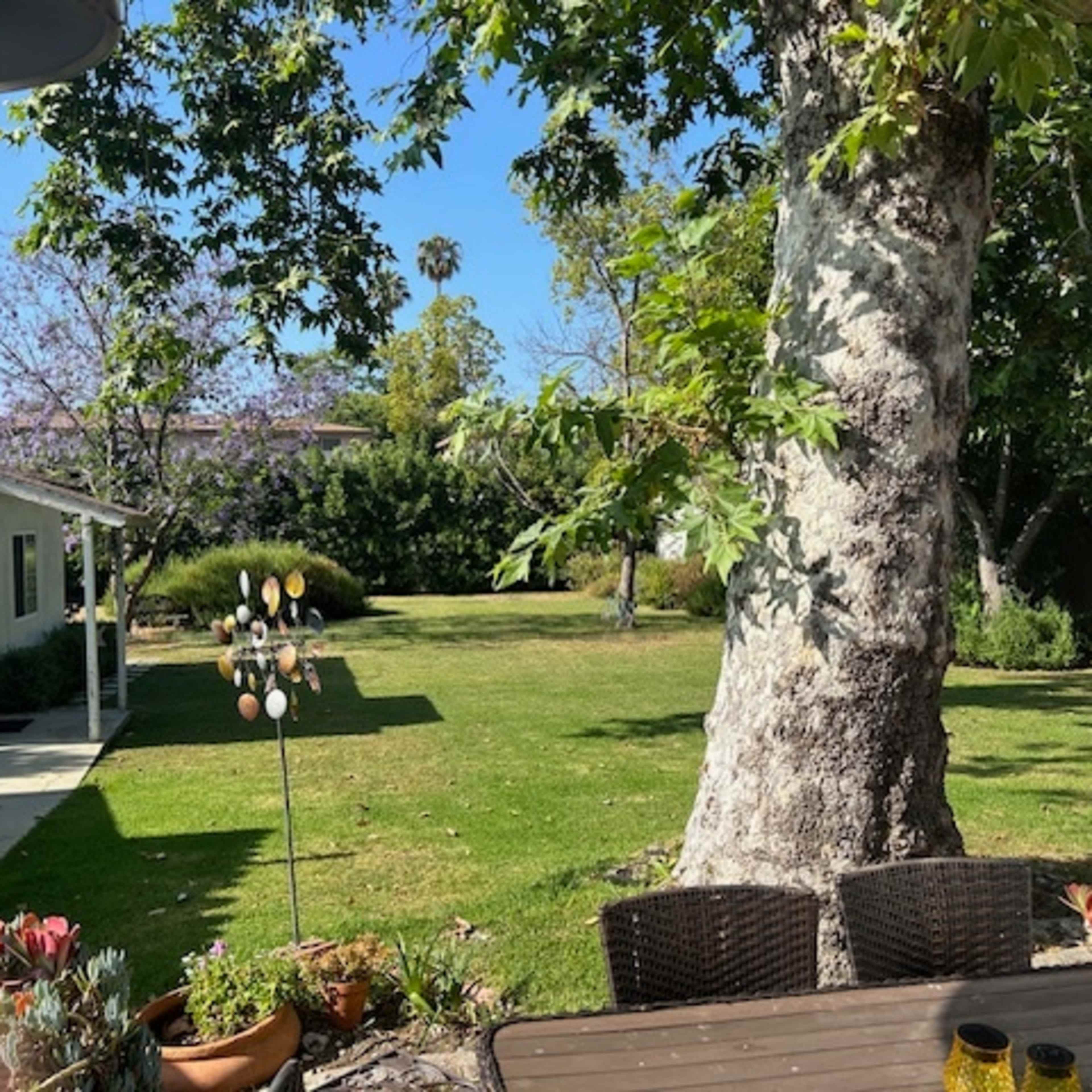 A spacious backyard features a large tree, a grassy lawn, and a small house in the background.