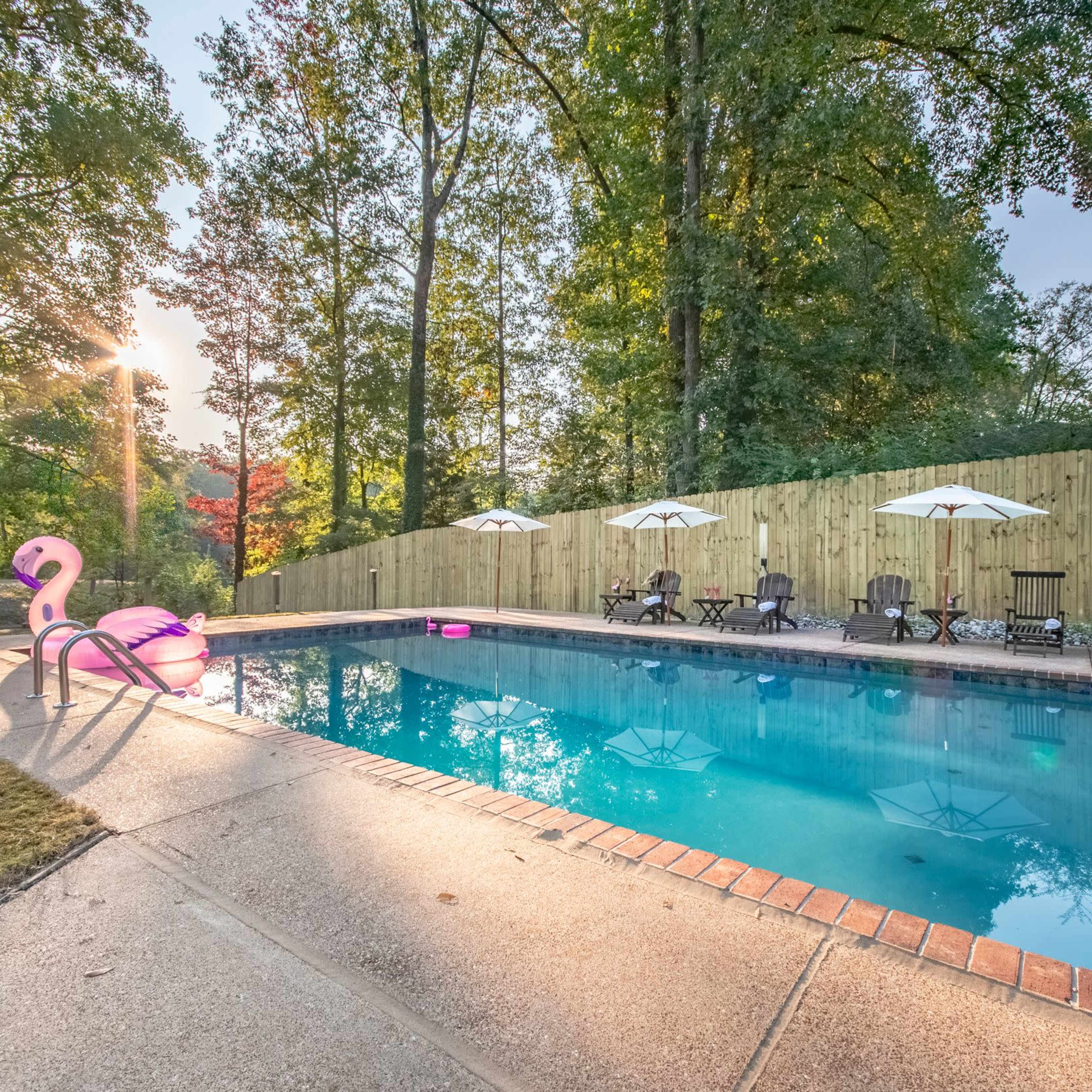 A swimming pool surrounded by patio chairs and umbrellas is illuminated by sunlight filtering through trees.