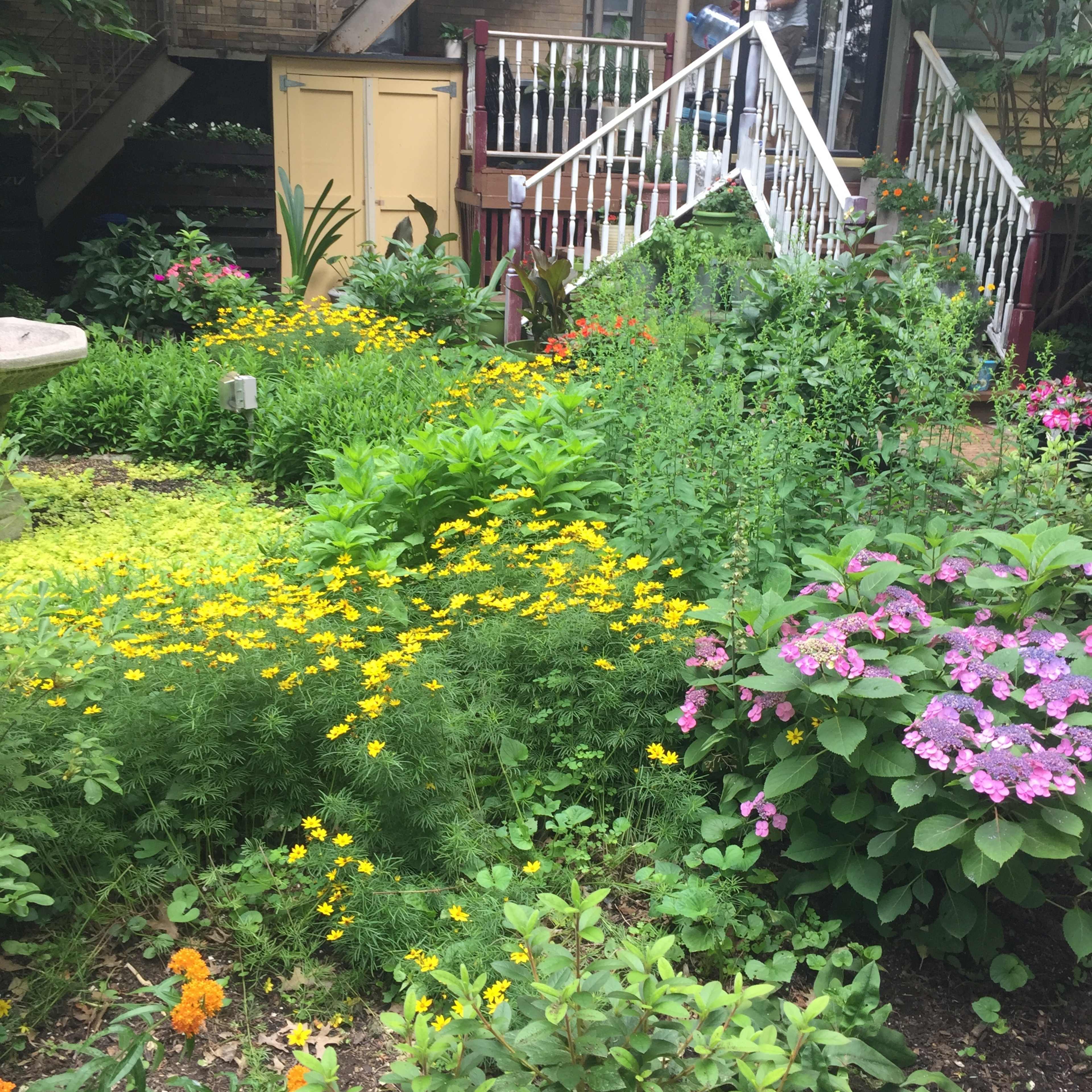 A vibrant garden features a variety of flowers and plants, with a wooden staircase leading to a back entrance of a house.