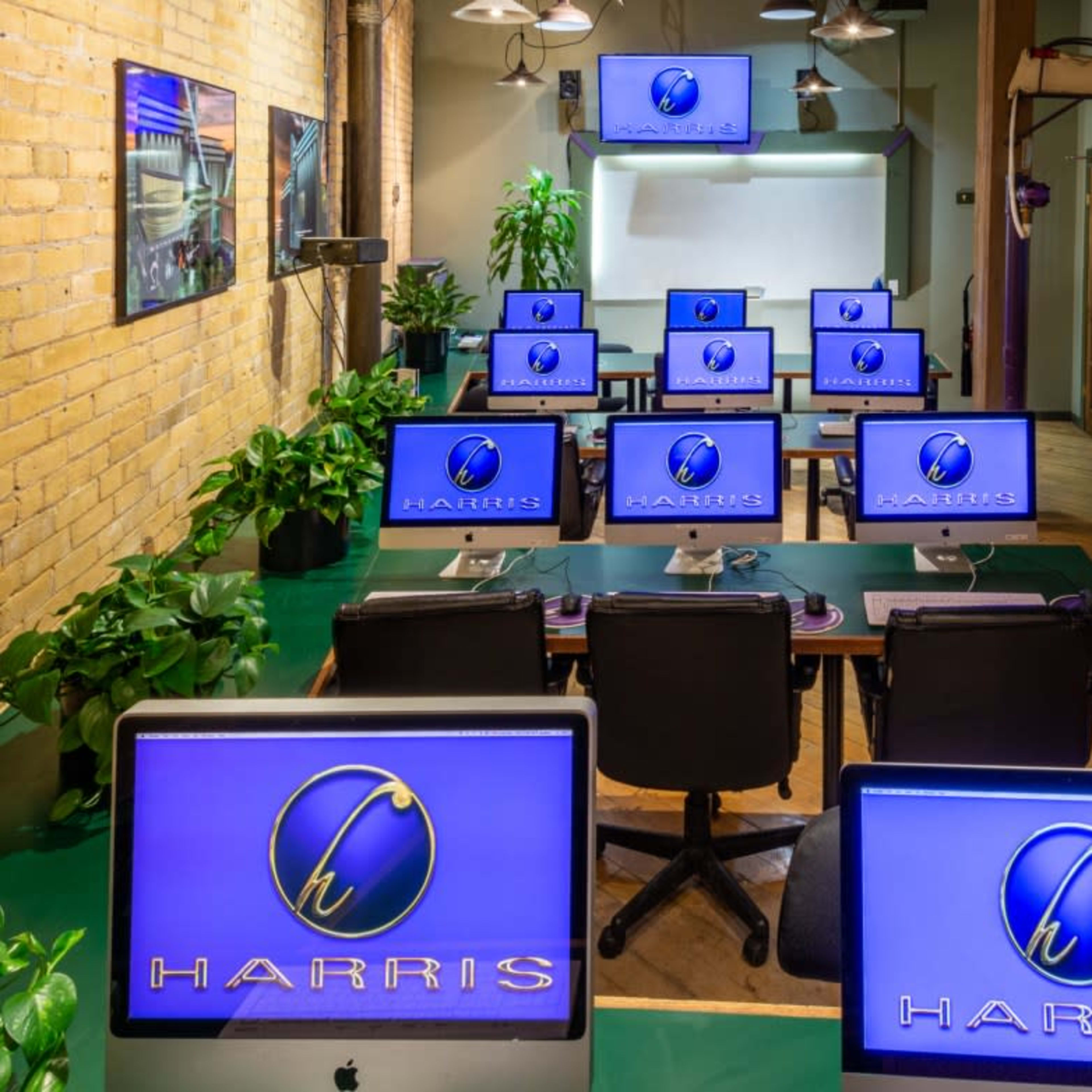 A classroom setting with multiple computers arranged on tables, featuring a large screen at the front and potted plants decorating the space.