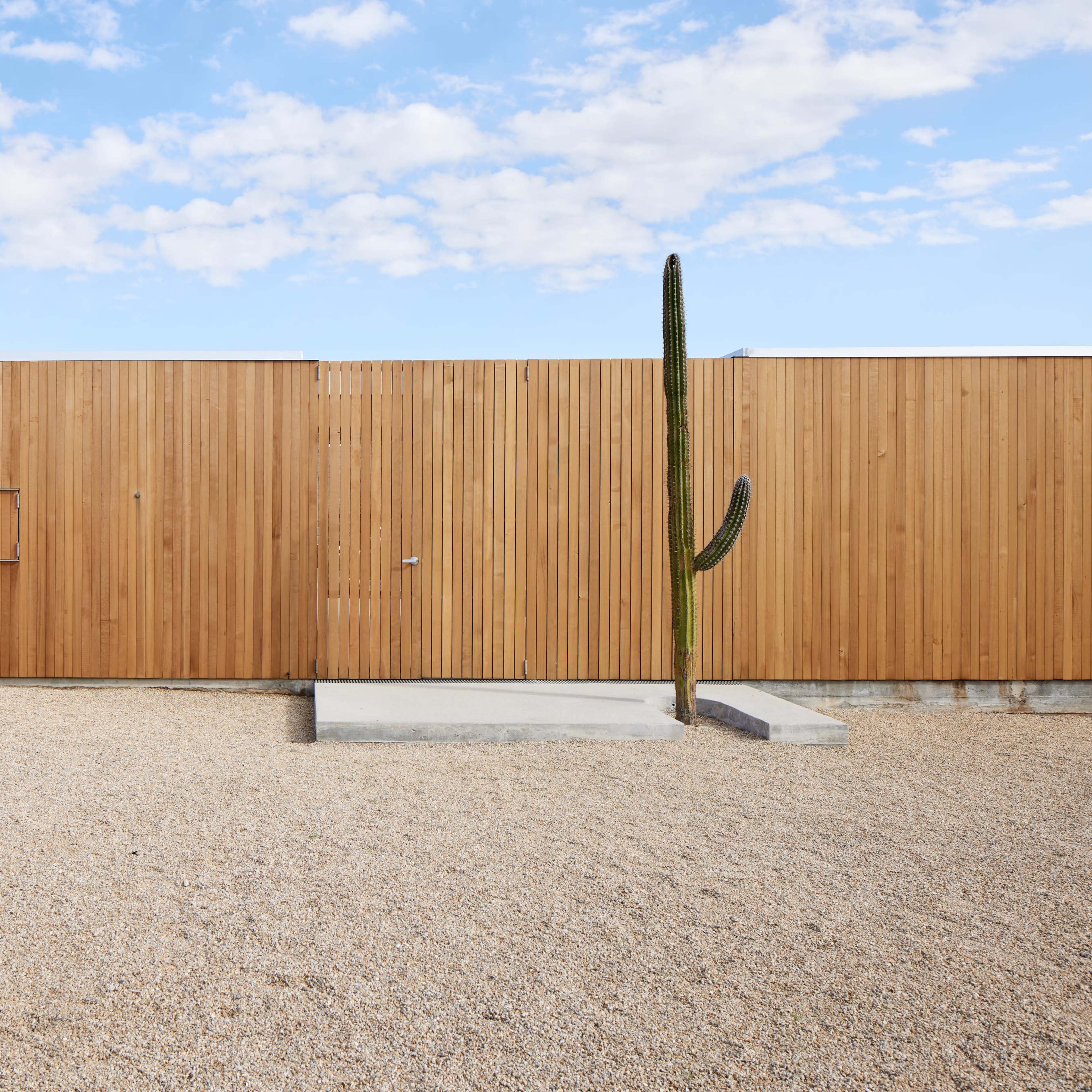 A wooden fence encloses a minimalist desert landscape featuring a large rock and a tall cactus surrounded by gravel.