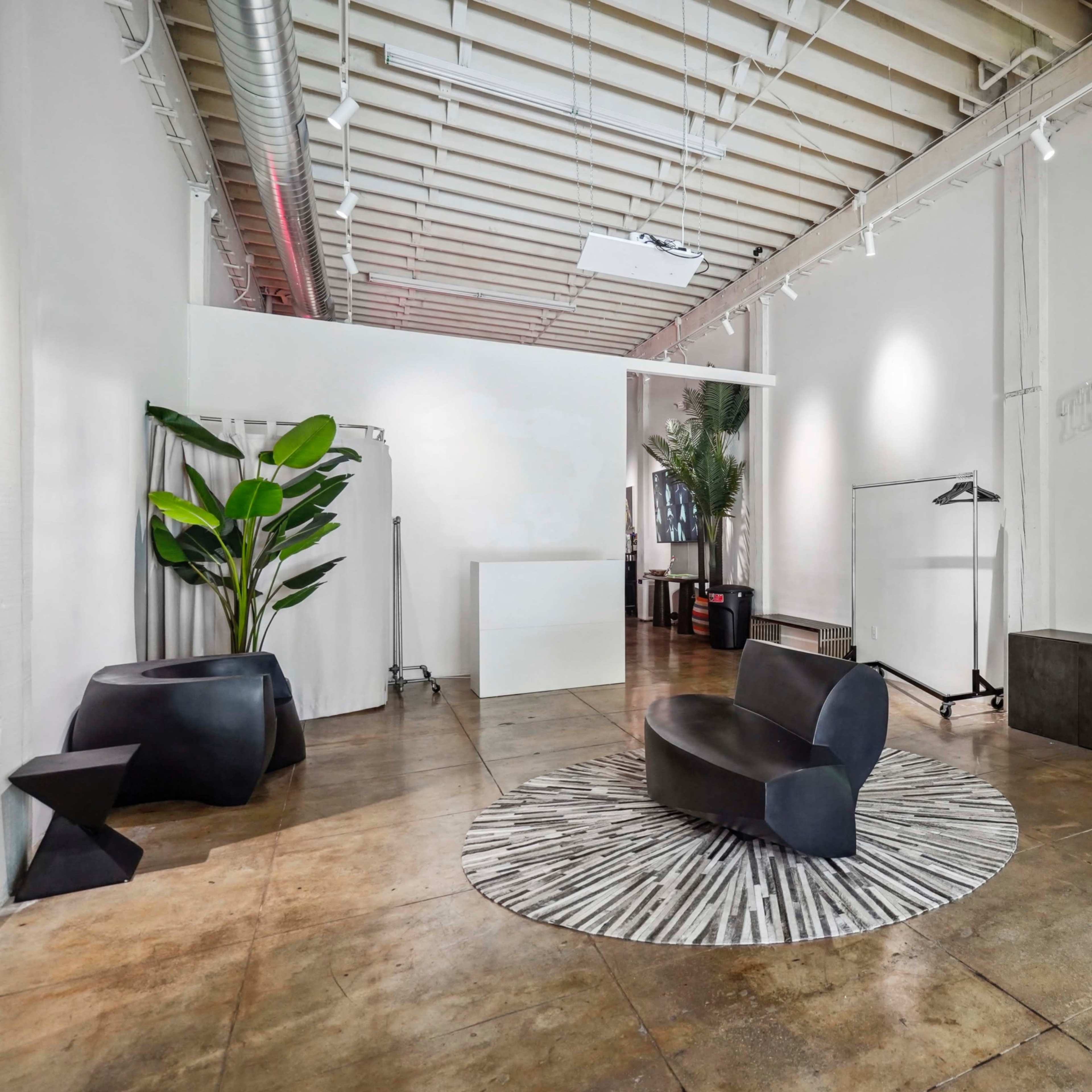 A minimalist interior space featuring a circular rug, a sleek black seating area, greenery, and light fixtures along the exposed ceiling.