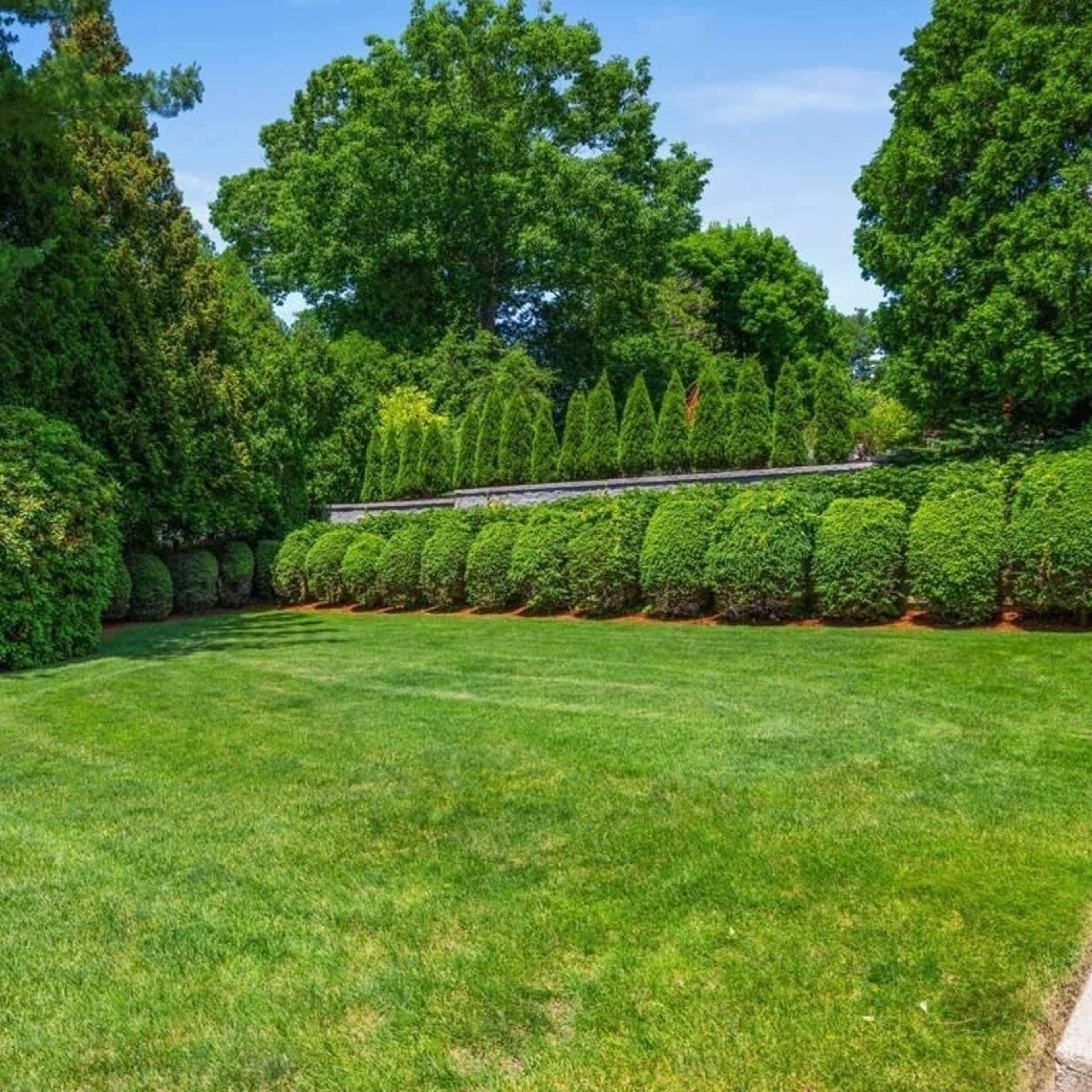 Beautiful backyard with huge swimming pool and hot tube Image in South Brookline, Brookline, MA