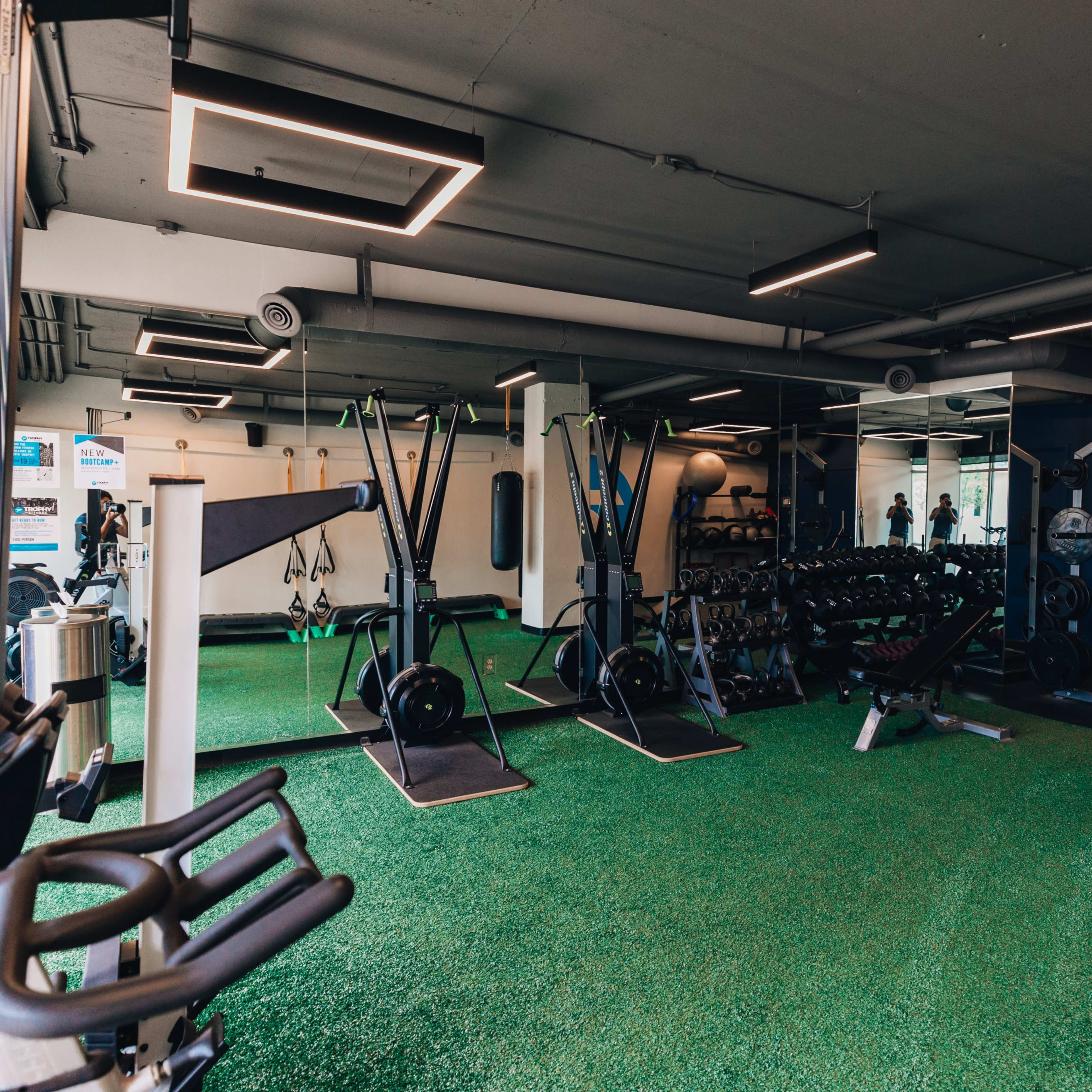 A fitness gym equipped with various exercise machines, free weights, and a punching bag on a green turf floor.
