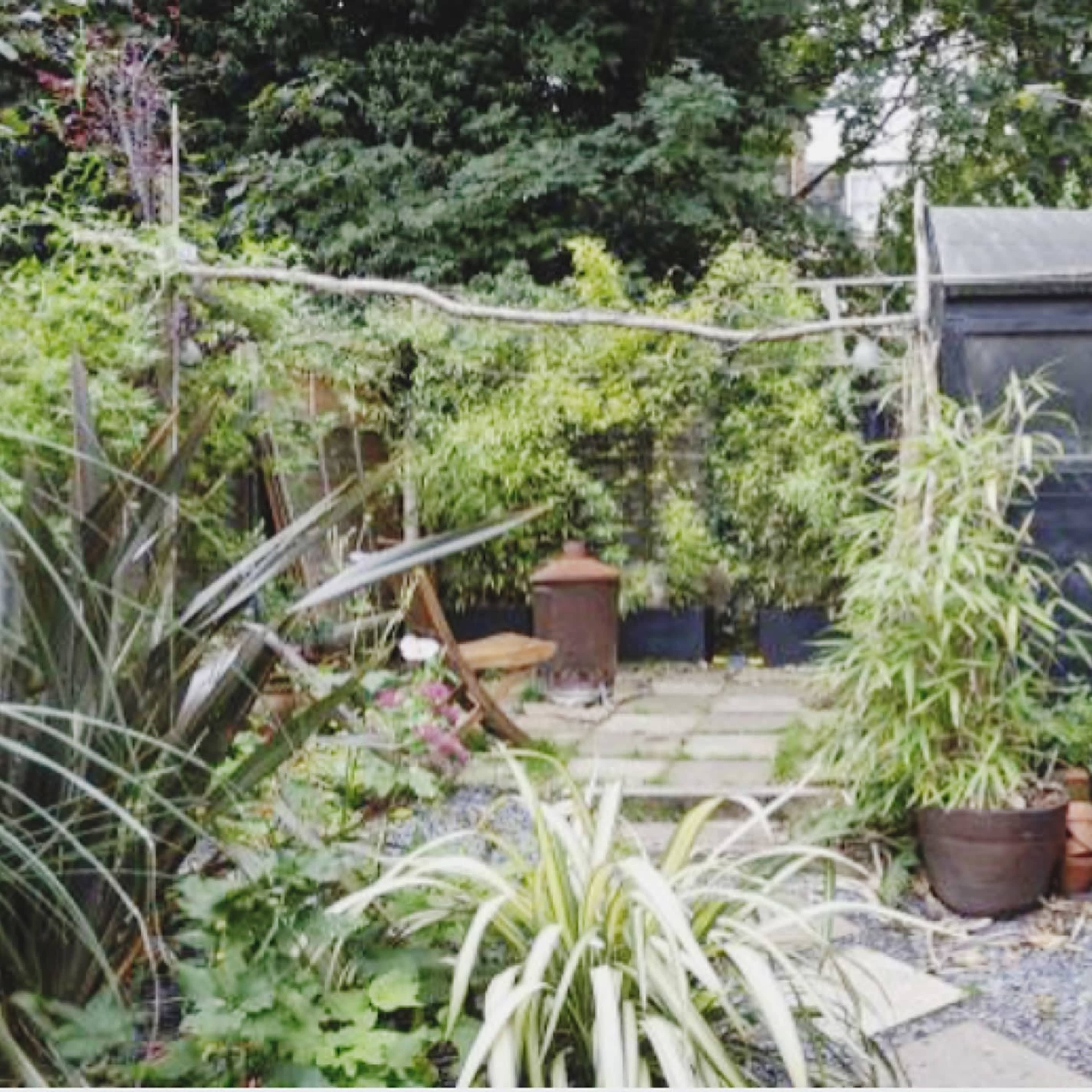 A garden with varied plants, a stone path, and a black shed surrounded by greenery.