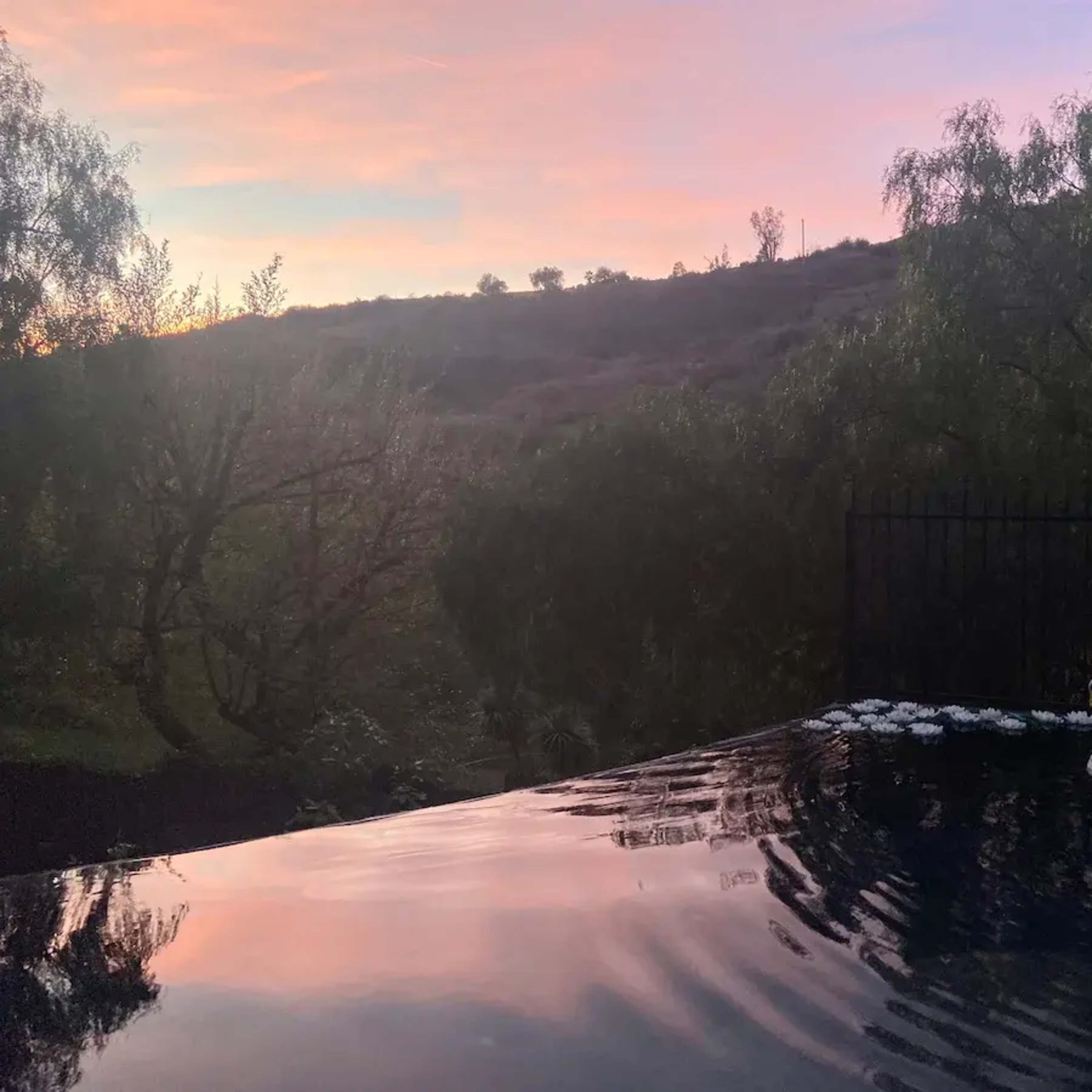 A swan is swimming in the still water of an infinity pool at sunset, surrounded by trees and hills.