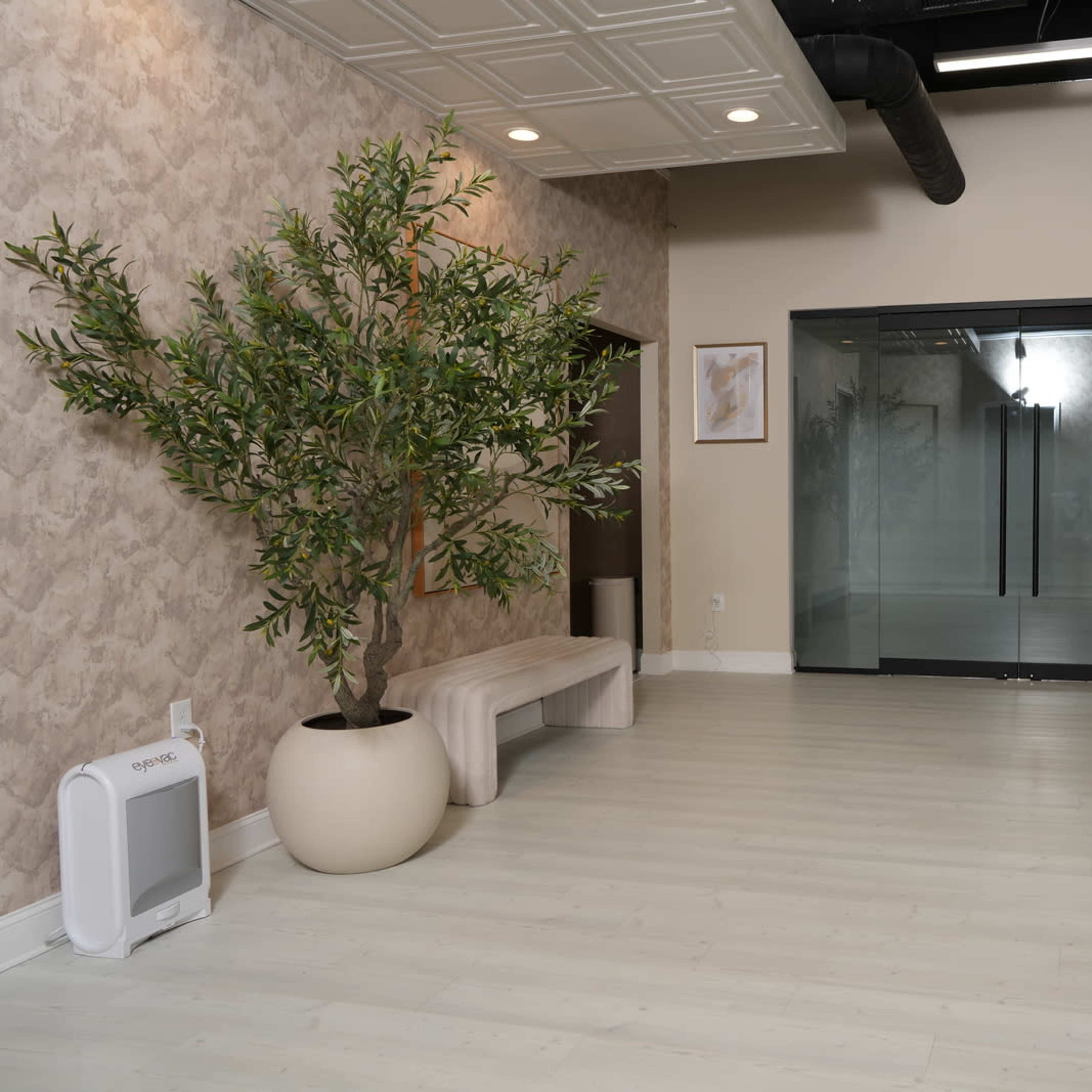 A modern salon interior featuring a large glass door, a leafy plant in a round pot, and several stylist chairs arranged around a light-colored floor.