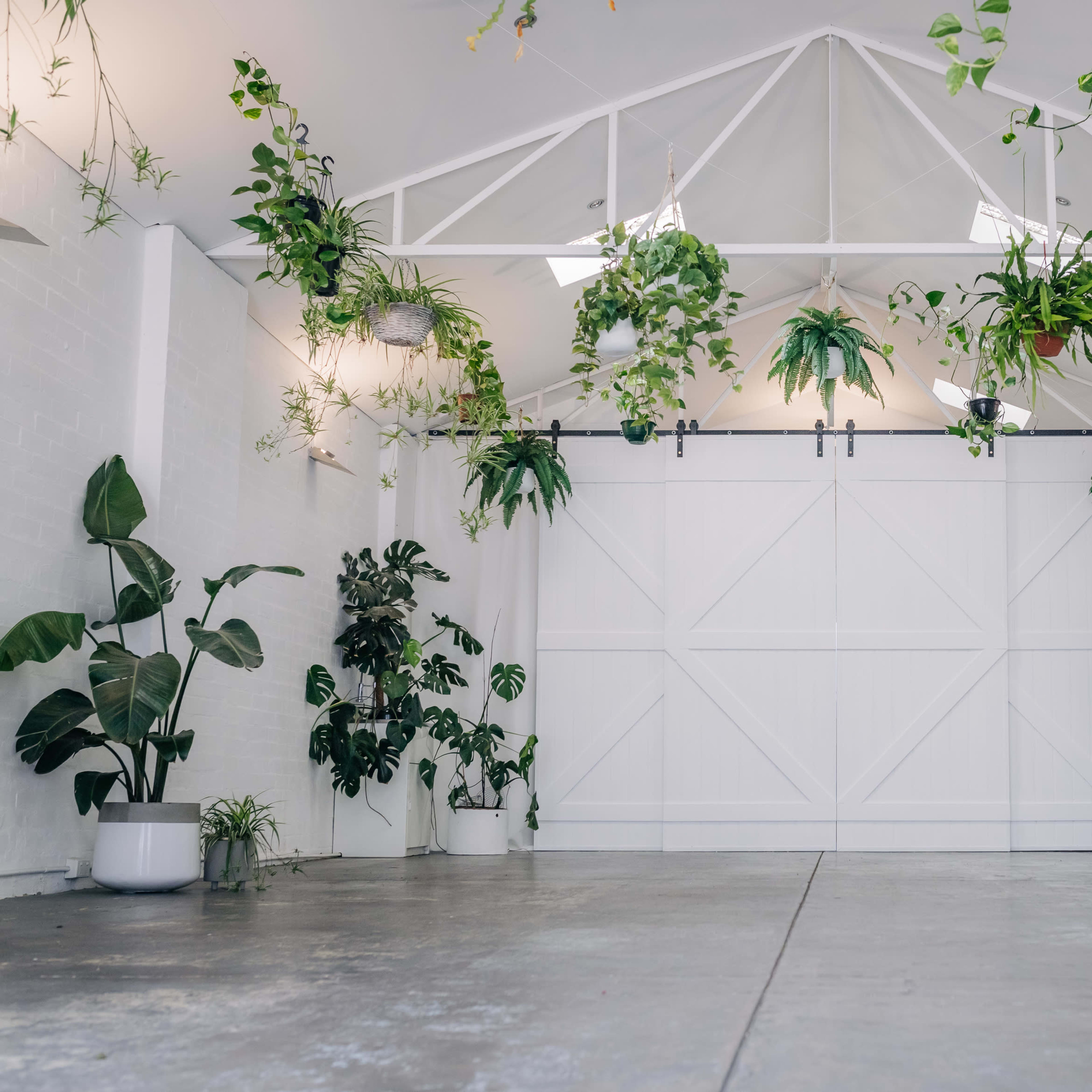 A bright space with a white wall and a large sliding door, decorated with an assortment of potted plants hanging from the ceiling and placed on the floor.