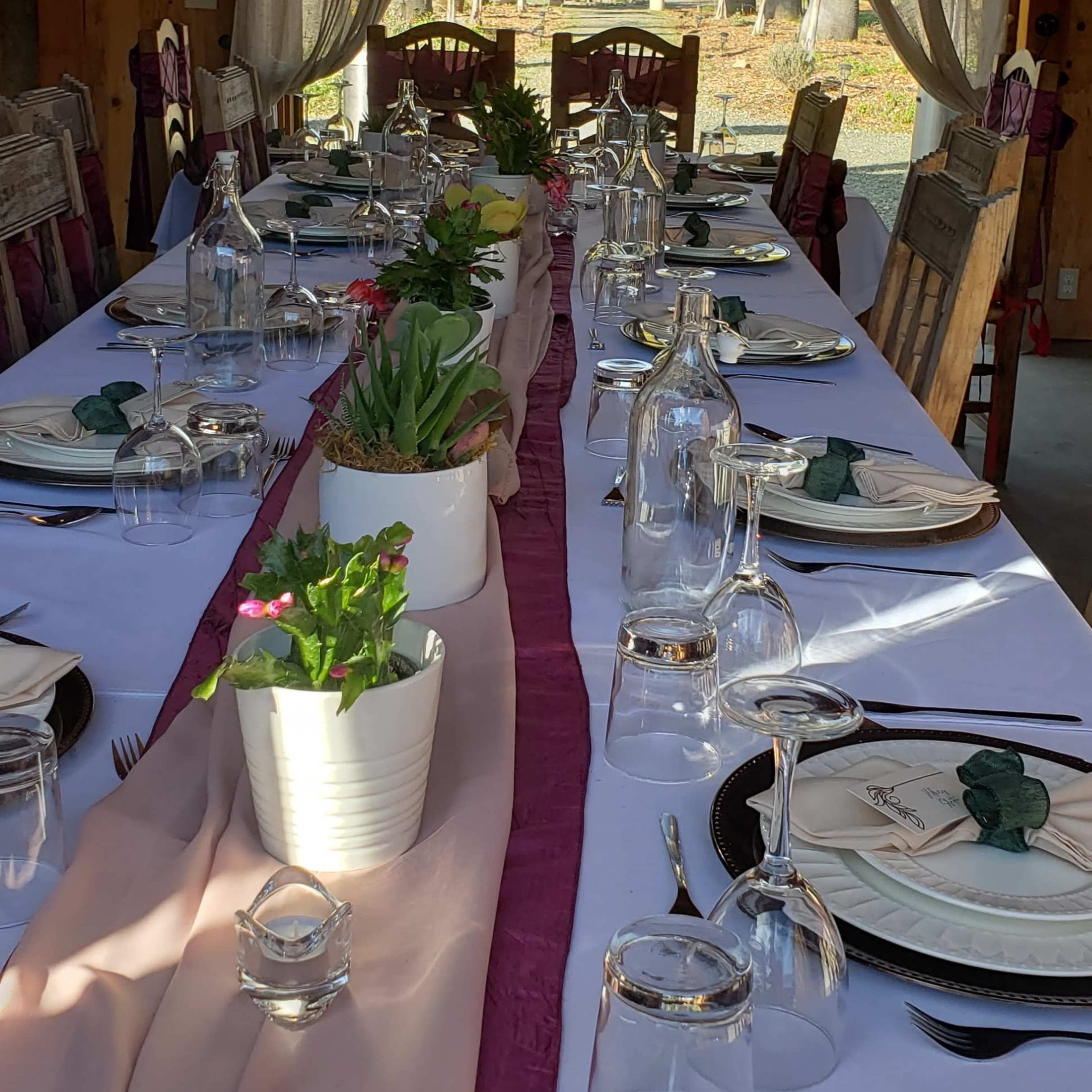 A long dining table is set with glassware and place settings, adorned with a pink table runner and potted plants, against a backdrop of large windows showing a garden.